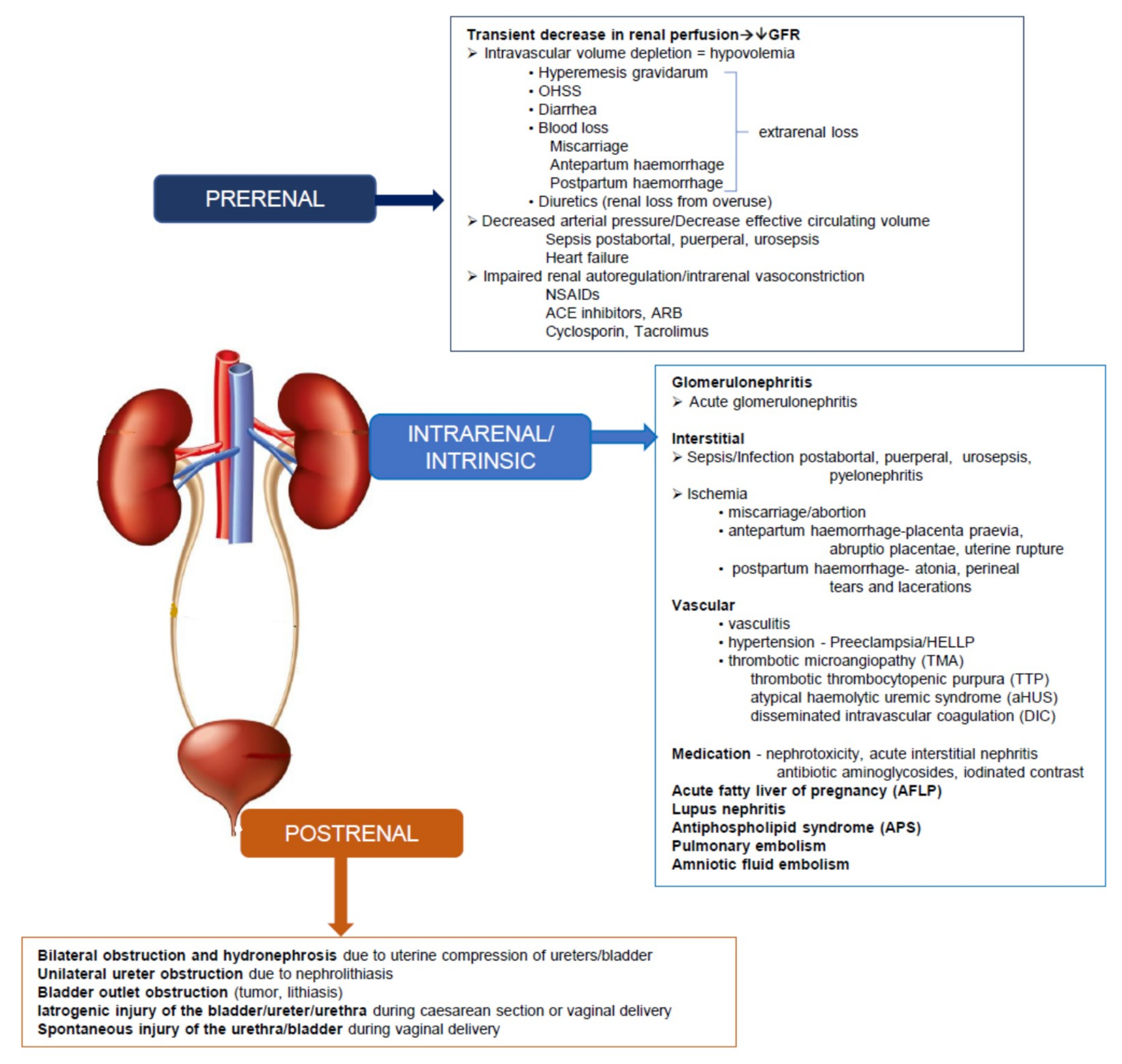 Jcm 08 01396 g002 Jcm 08 01396 g002