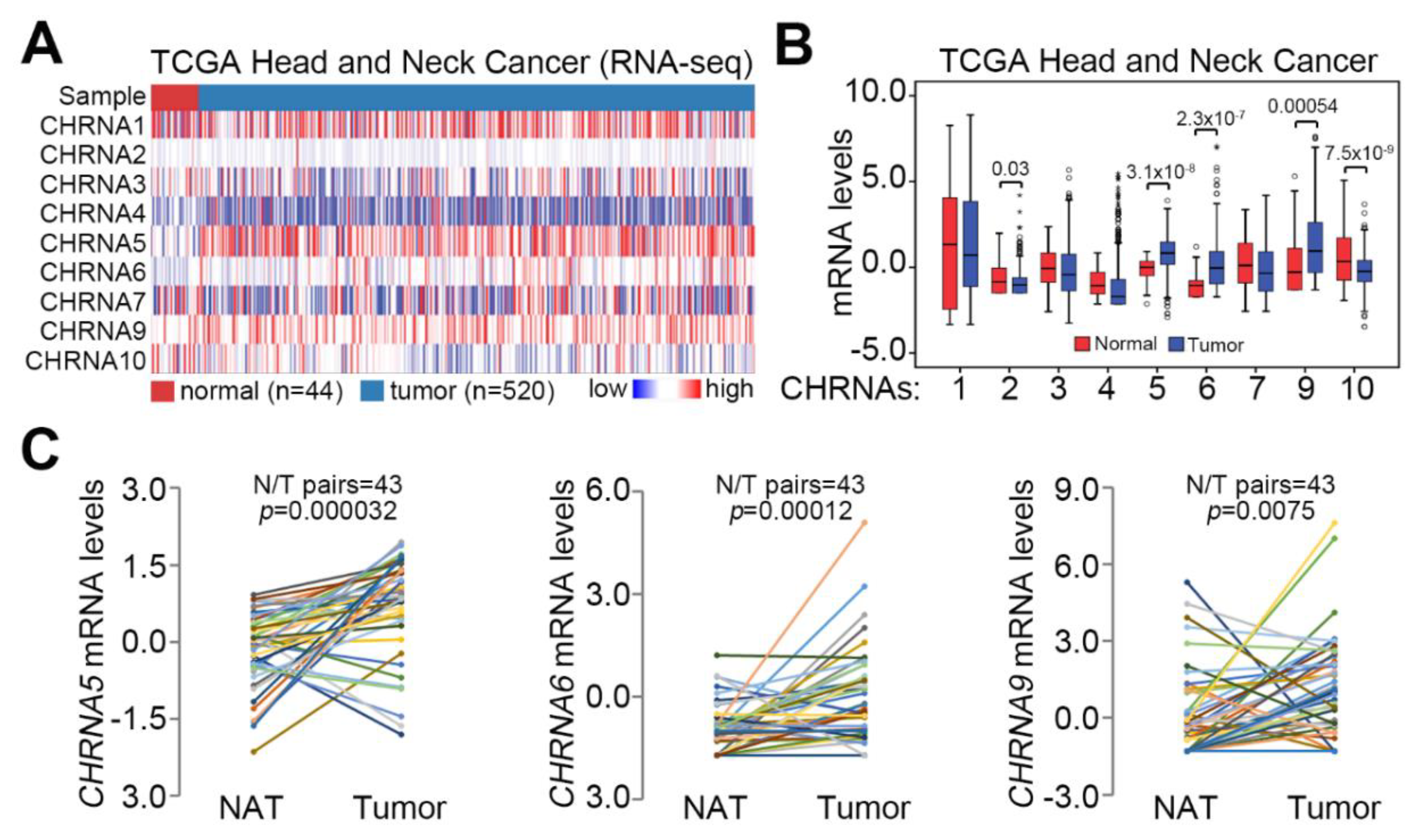 Jcm 08 01454 g001 Jcm 08 01454 g001