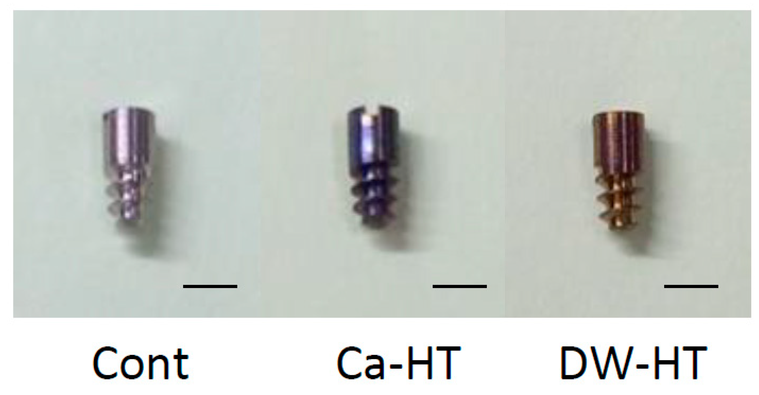 Jcm 08 01560 g001