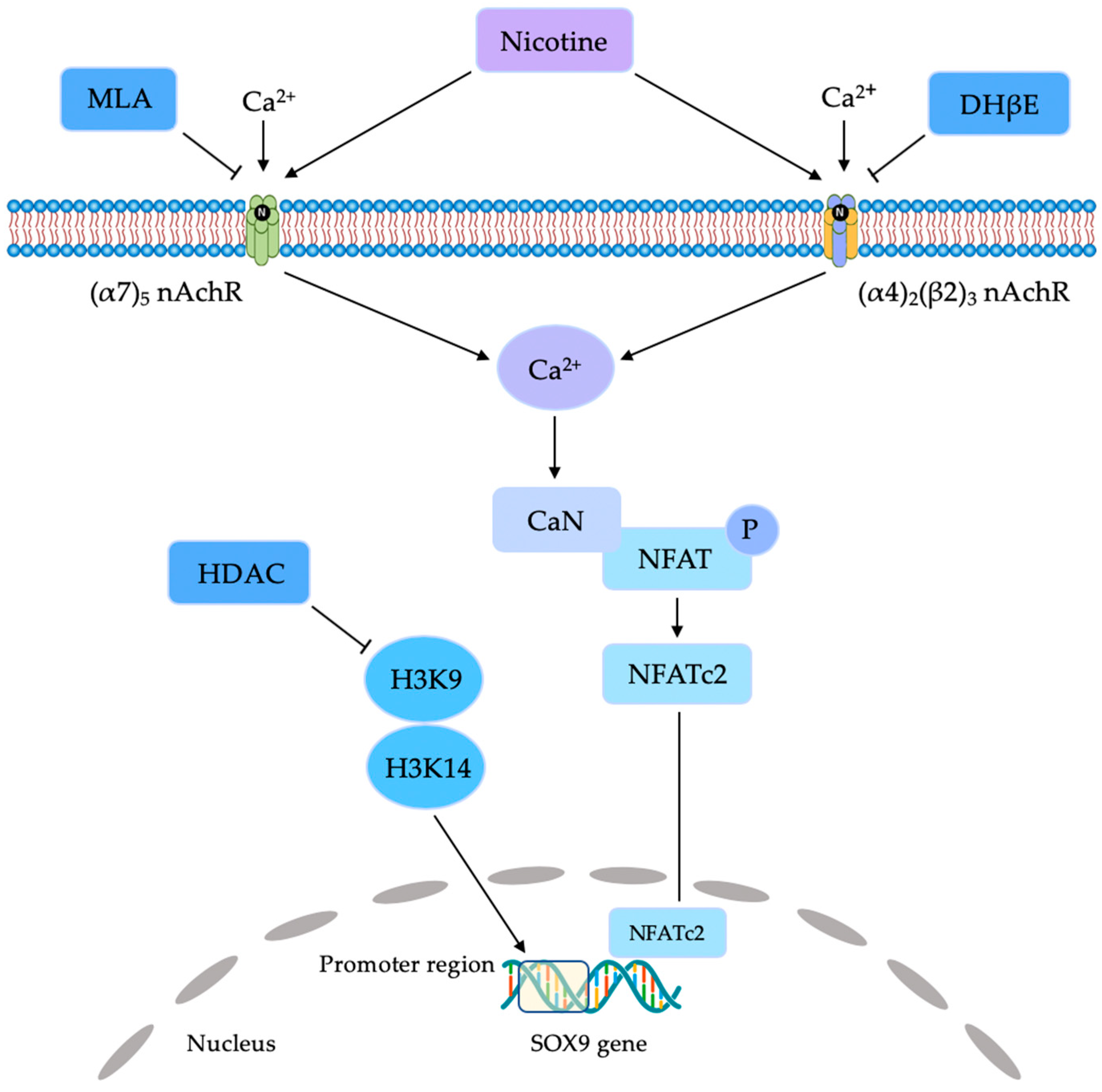 Jcm 08 01699 g002 Jcm 08 01699 g002