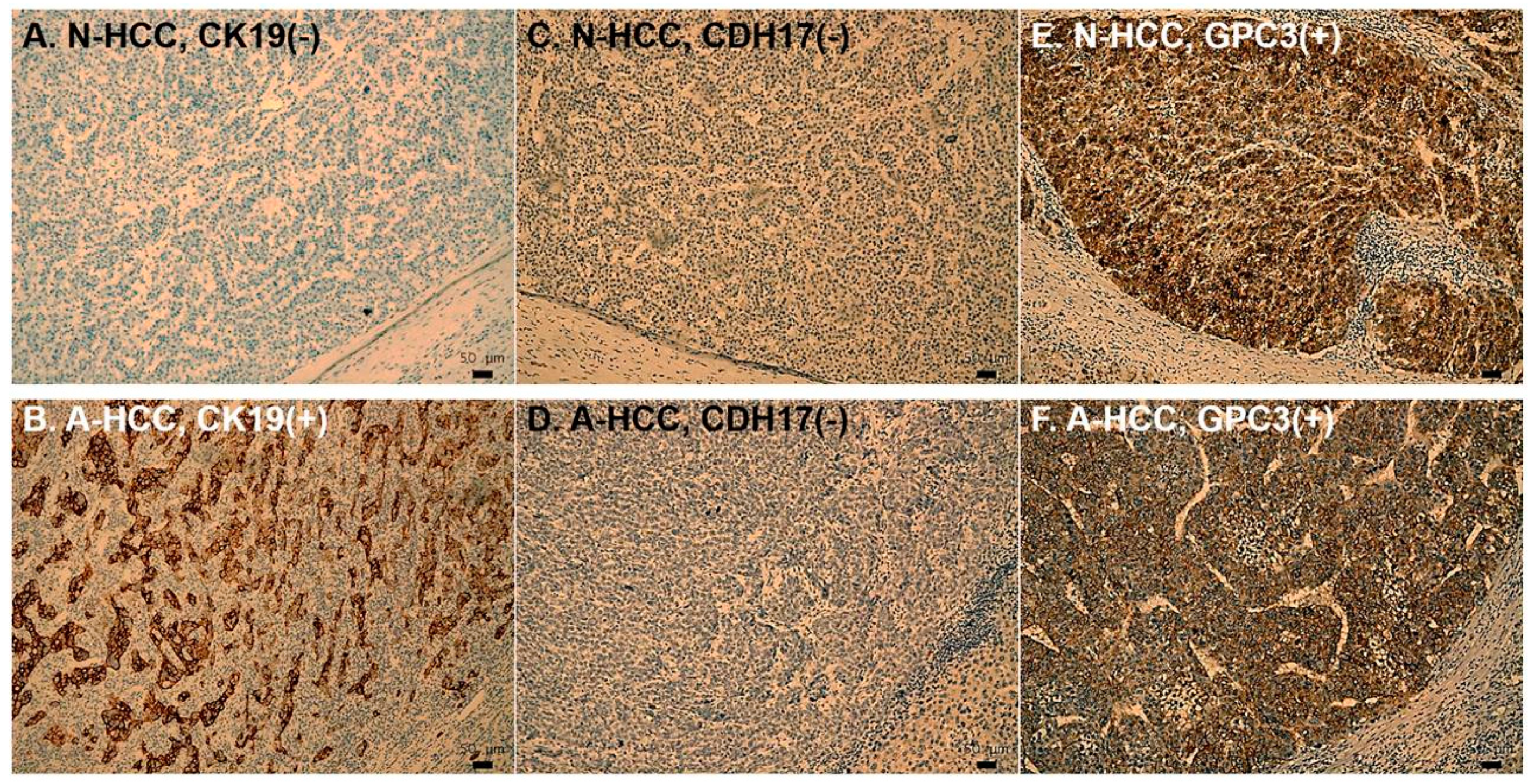 Jcm 08 01736 g004 Jcm 08 01736 g004