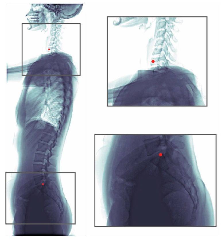 Jcm 08 01826 g001 Jcm 08 01826 g001