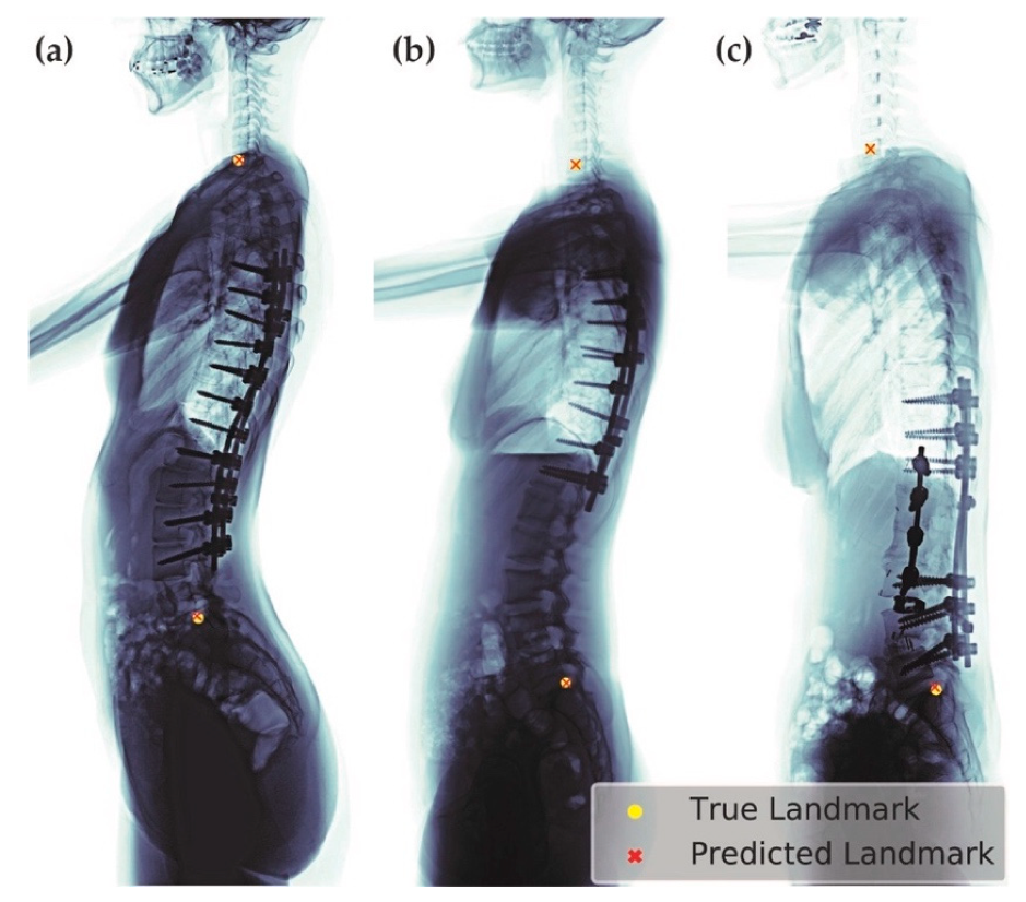 Jcm 08 01826 g010 Jcm 08 01826 g010