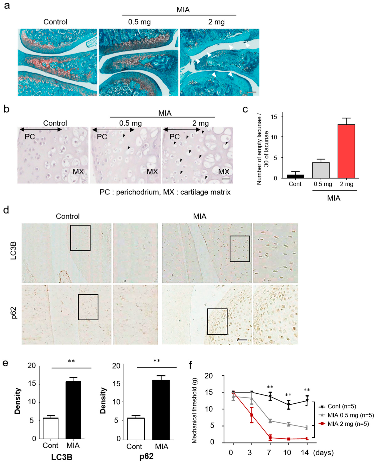 Jcm 08 01849 g001 Jcm 08 01849 g001