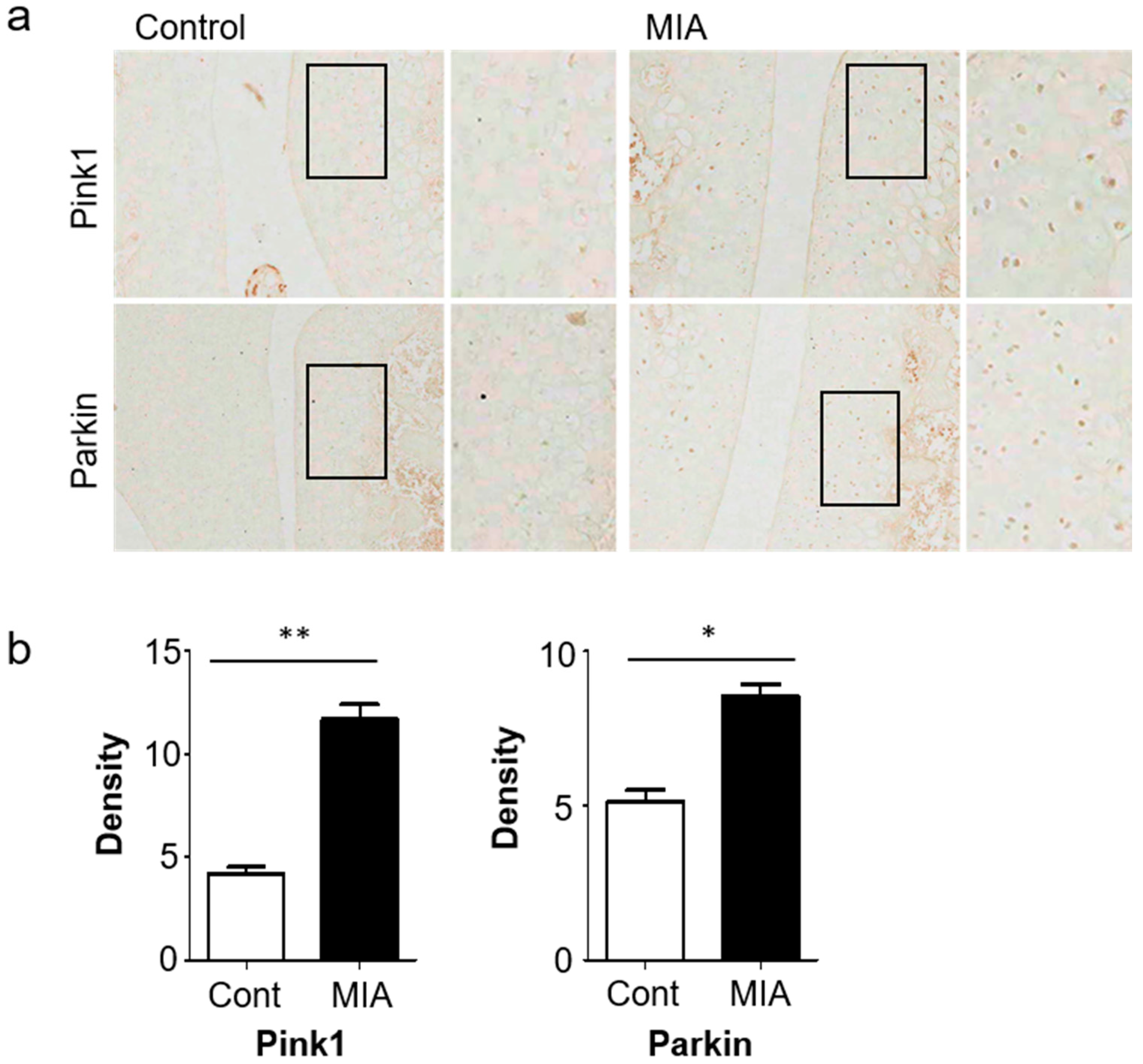 Jcm 08 01849 g002 Jcm 08 01849 g002