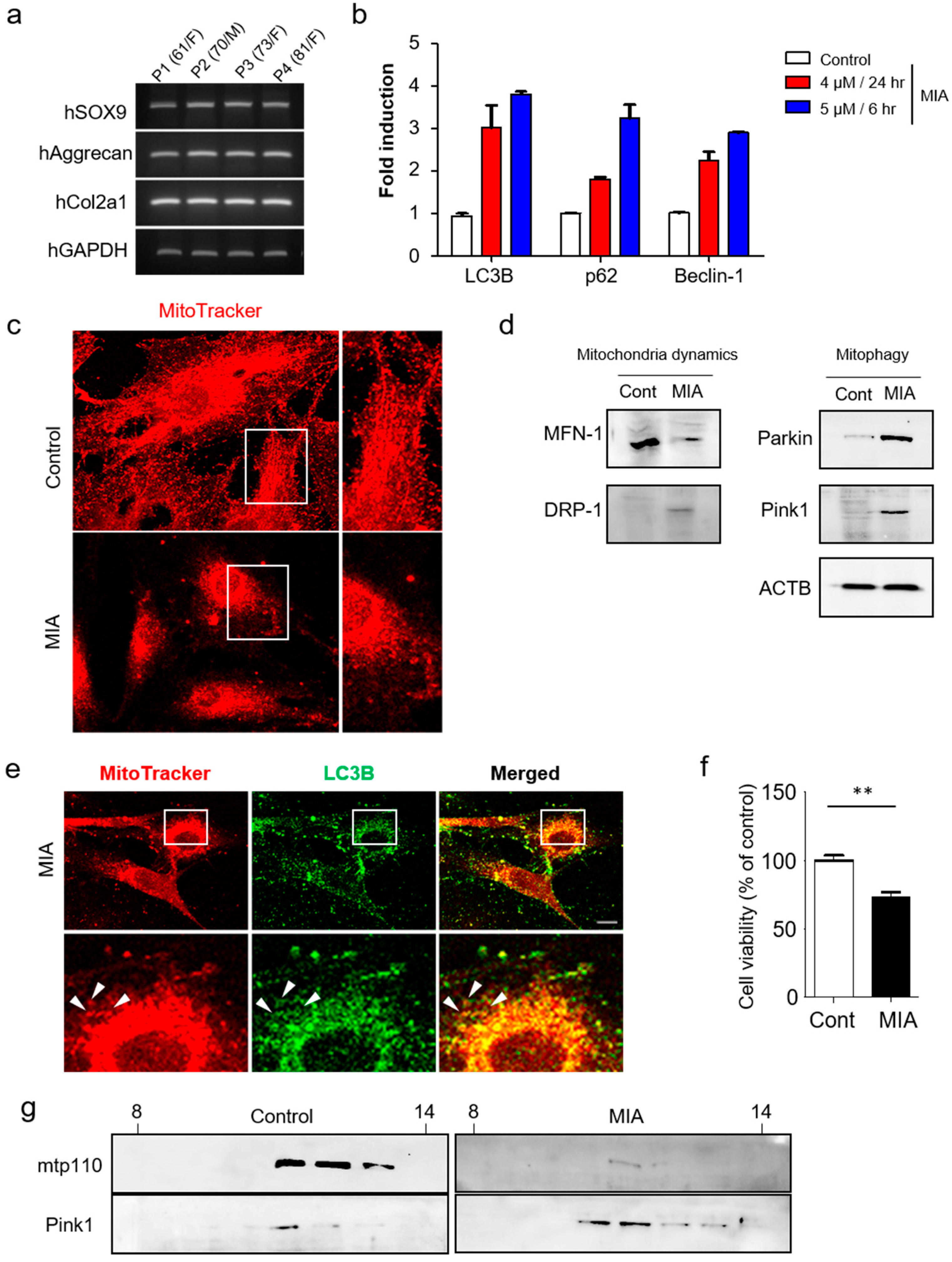 Jcm 08 01849 g003 Jcm 08 01849 g003