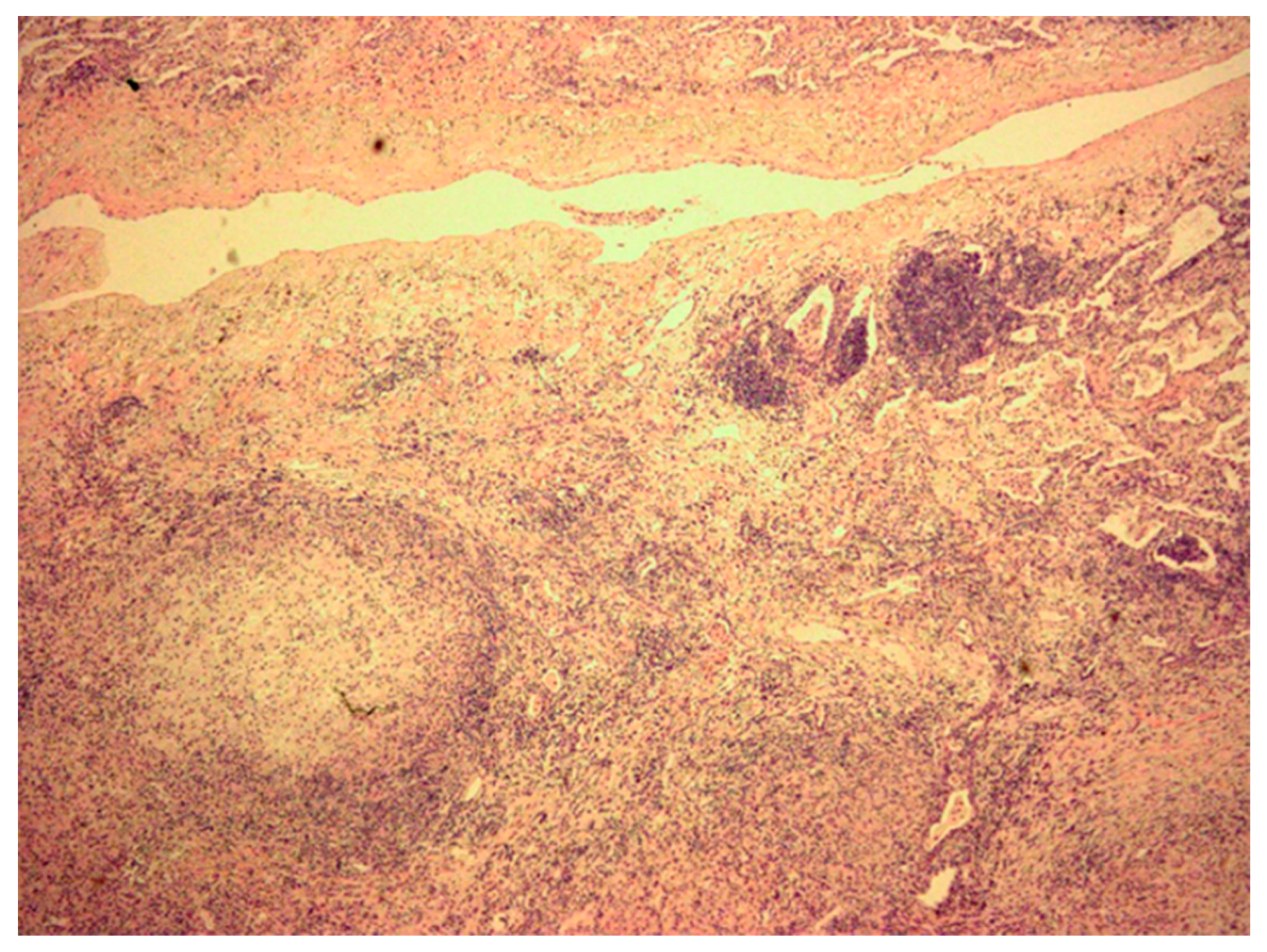 Jcm 08 01898 g002 Jcm 08 01898 g002