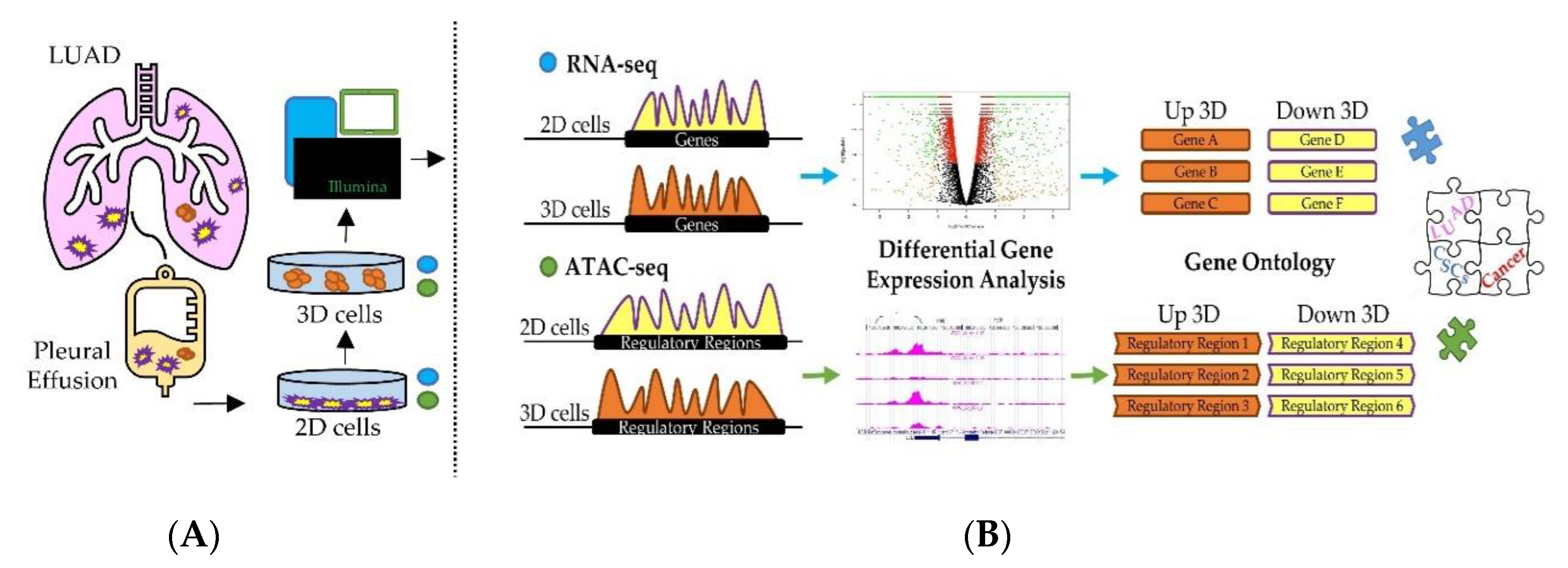 Jcm 08 01928 g001 Jcm 08 01928 g001