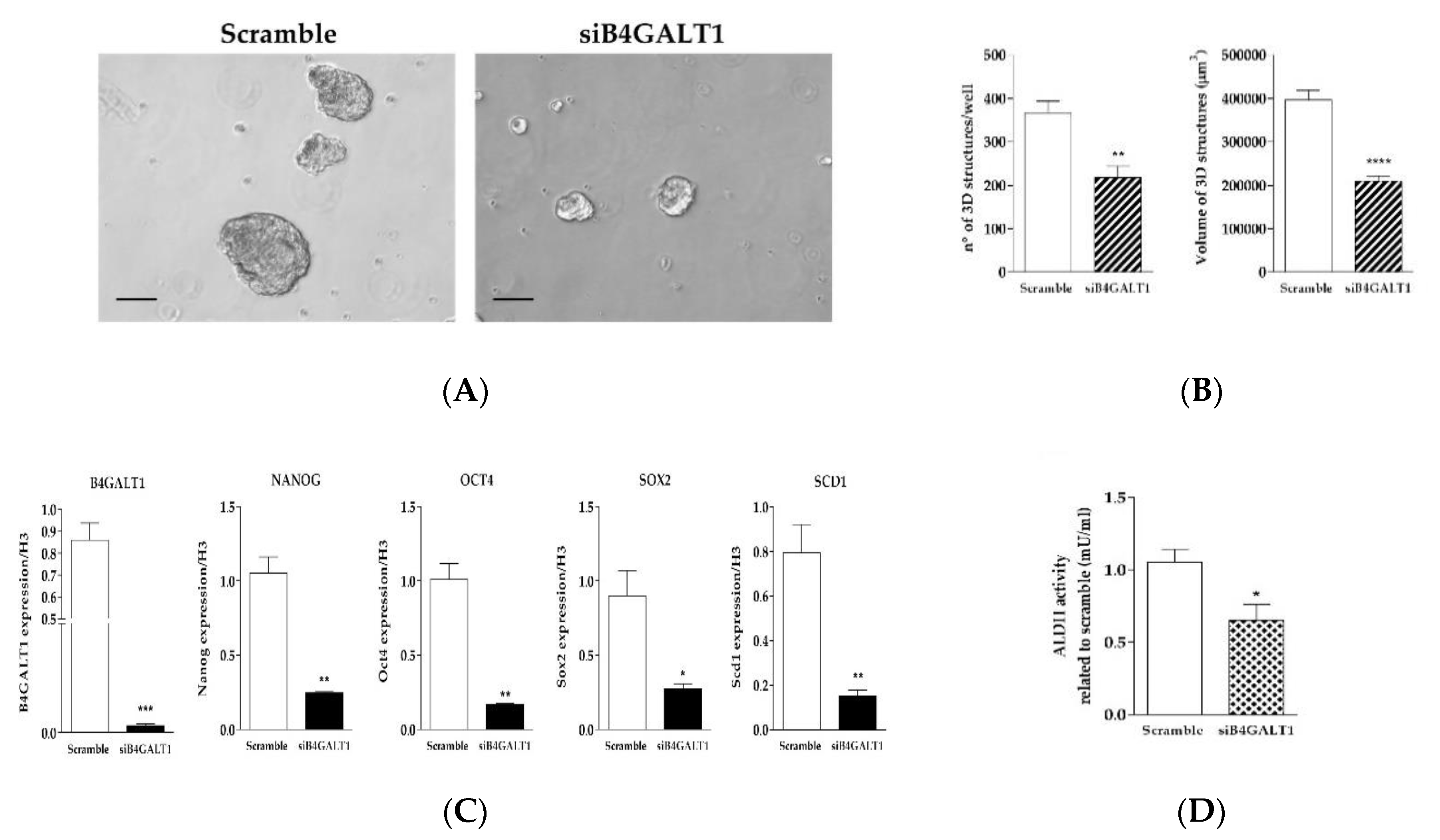 Jcm 08 01928 g005 Jcm 08 01928 g005