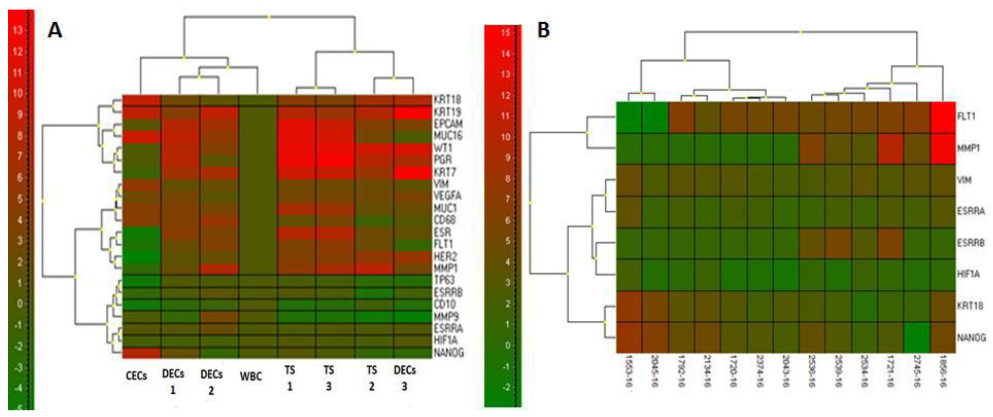 Jcm 08 01938 g002 Jcm 08 01938 g002