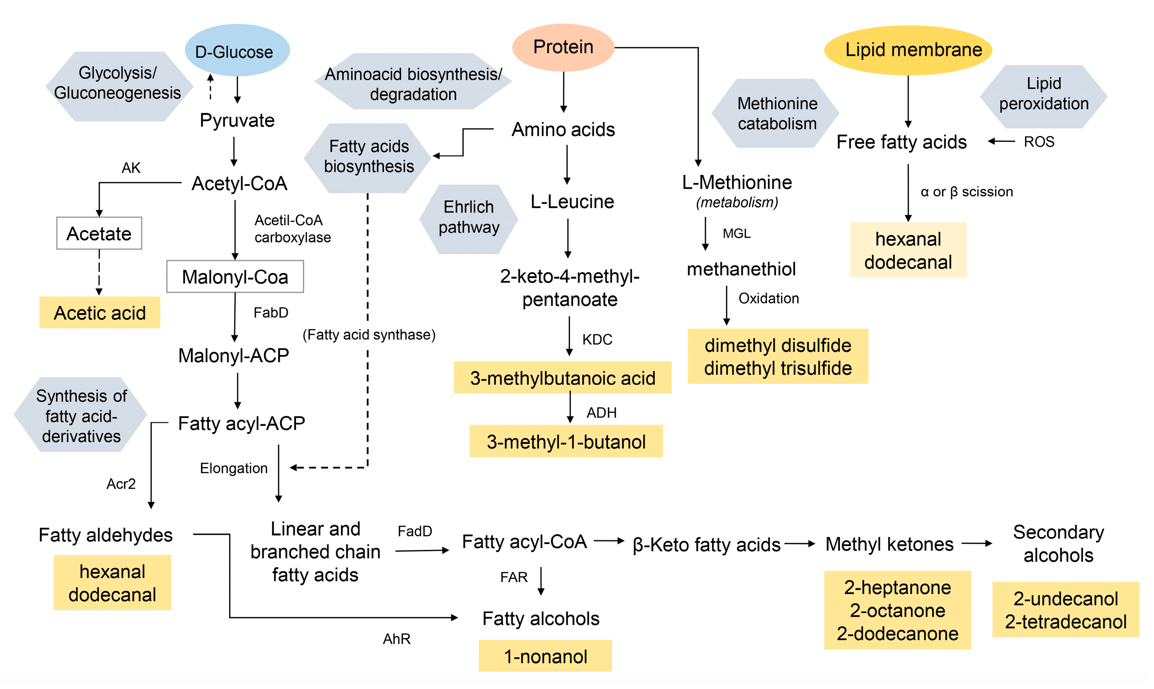 Jcm 08 02024 g008 Jcm 08 02024 g008