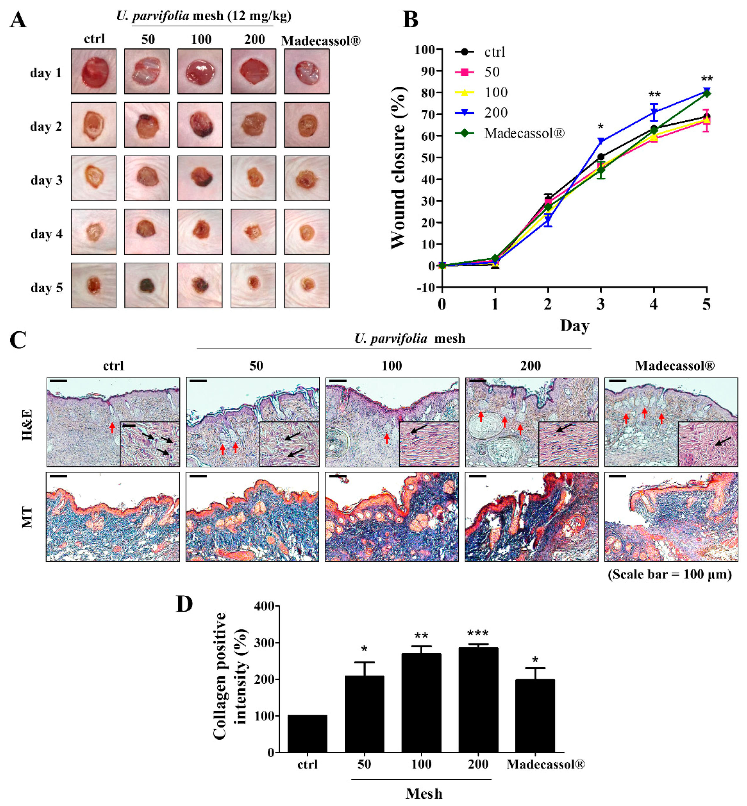 Jcm 09 00059 g001 Jcm 09 00059 g001