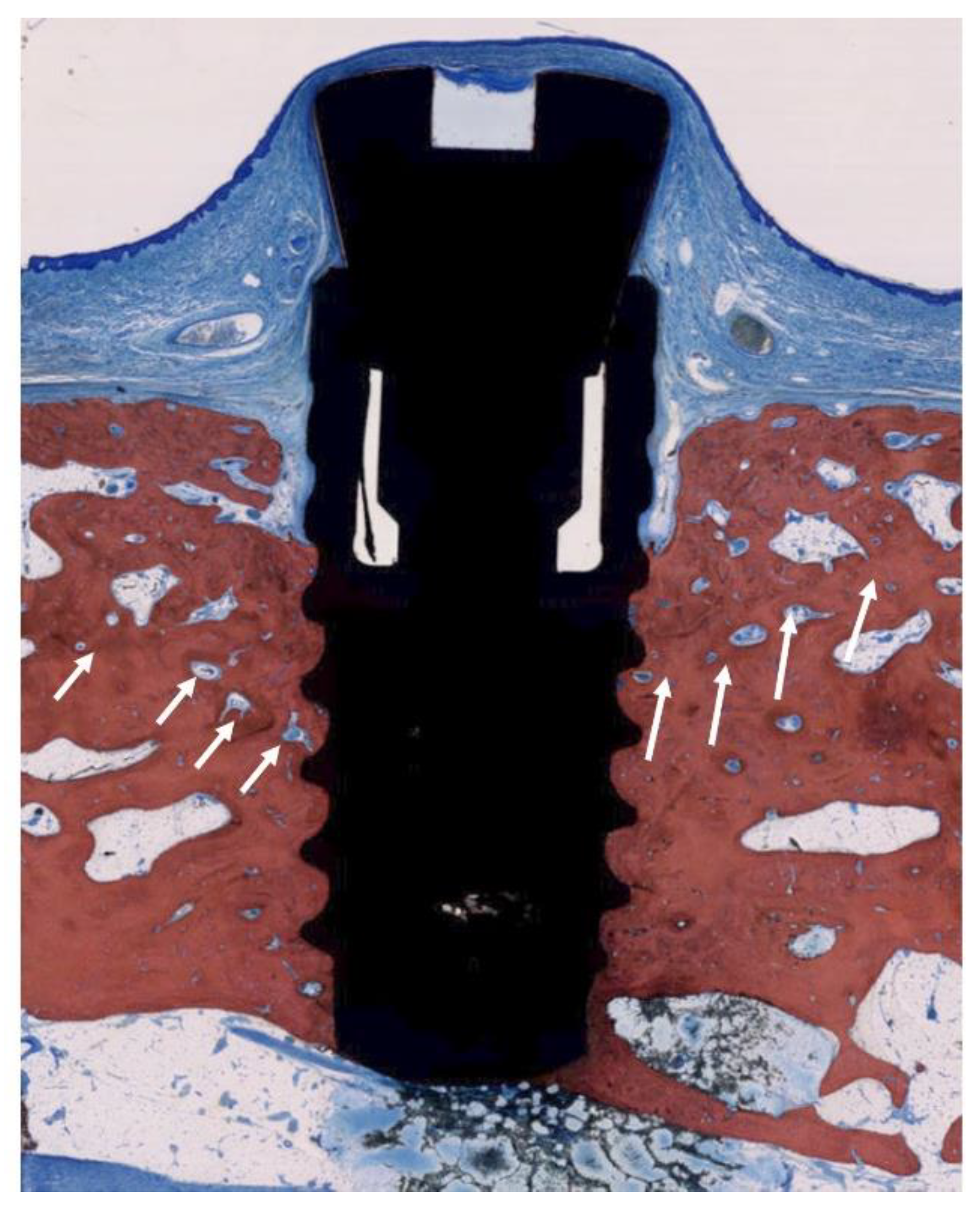 Jcm 09 00235 g006 Jcm 09 00235 g006