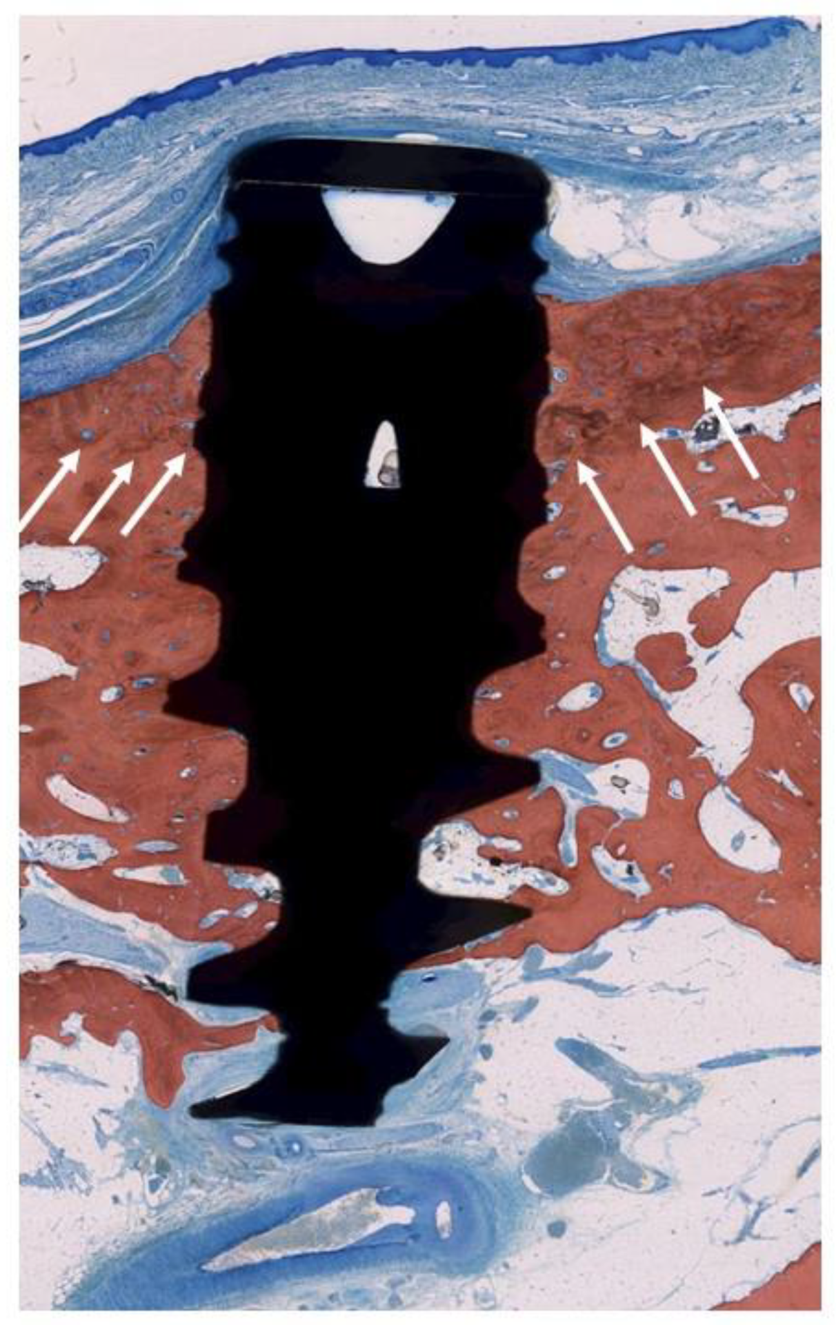 Jcm 09 00235 g008 Jcm 09 00235 g008