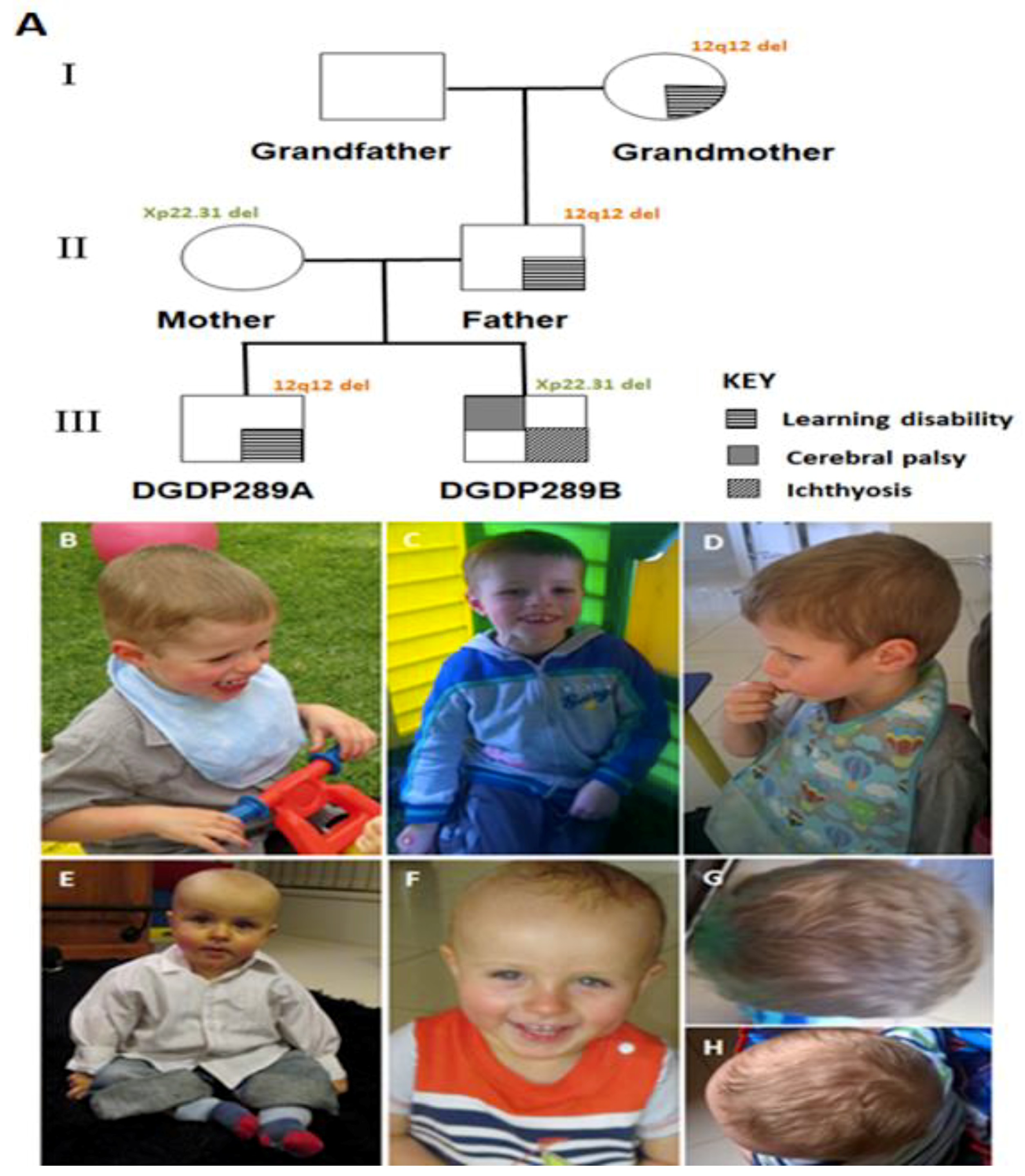 Jcm 09 00274 g001 Jcm 09 00274 g001