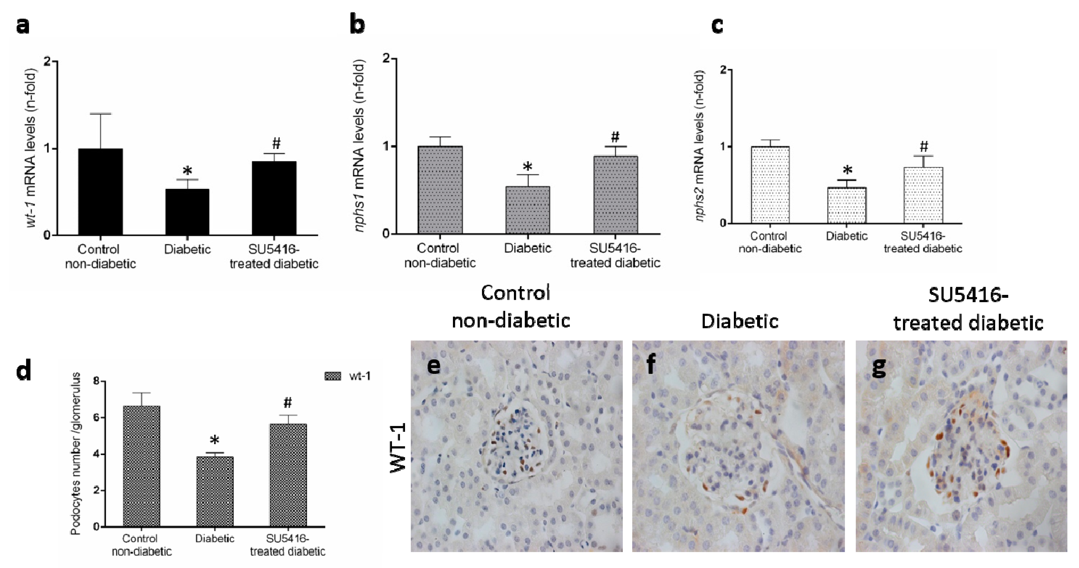 Jcm 09 00302 g005 Jcm 09 00302 g005