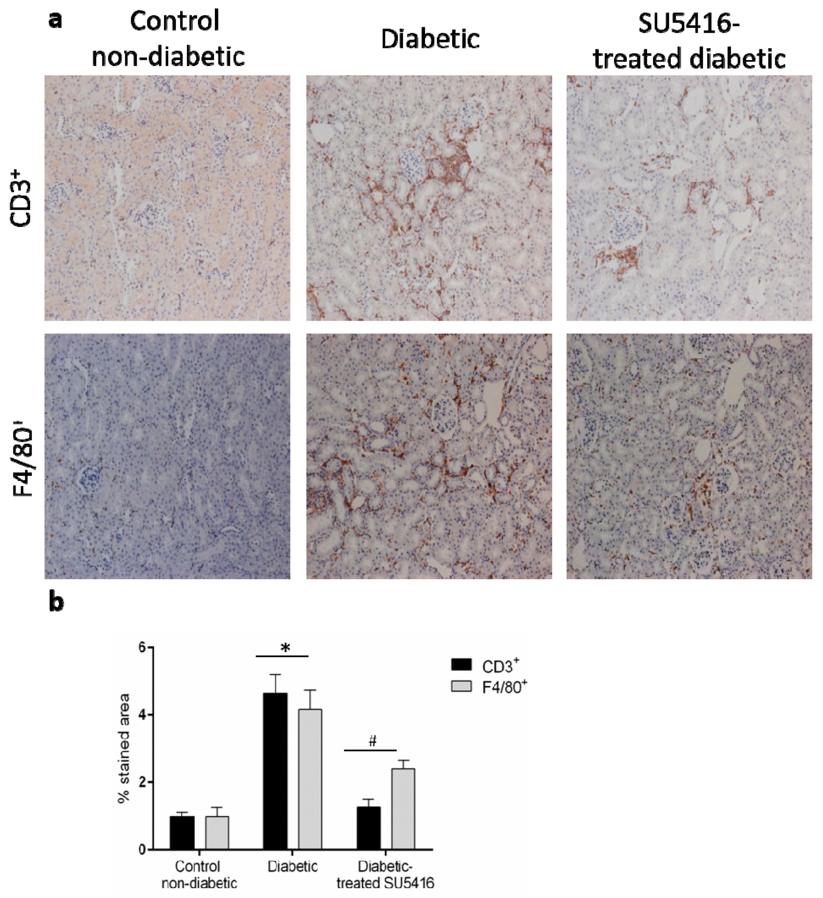 Jcm 09 00302 g006 Jcm 09 00302 g006