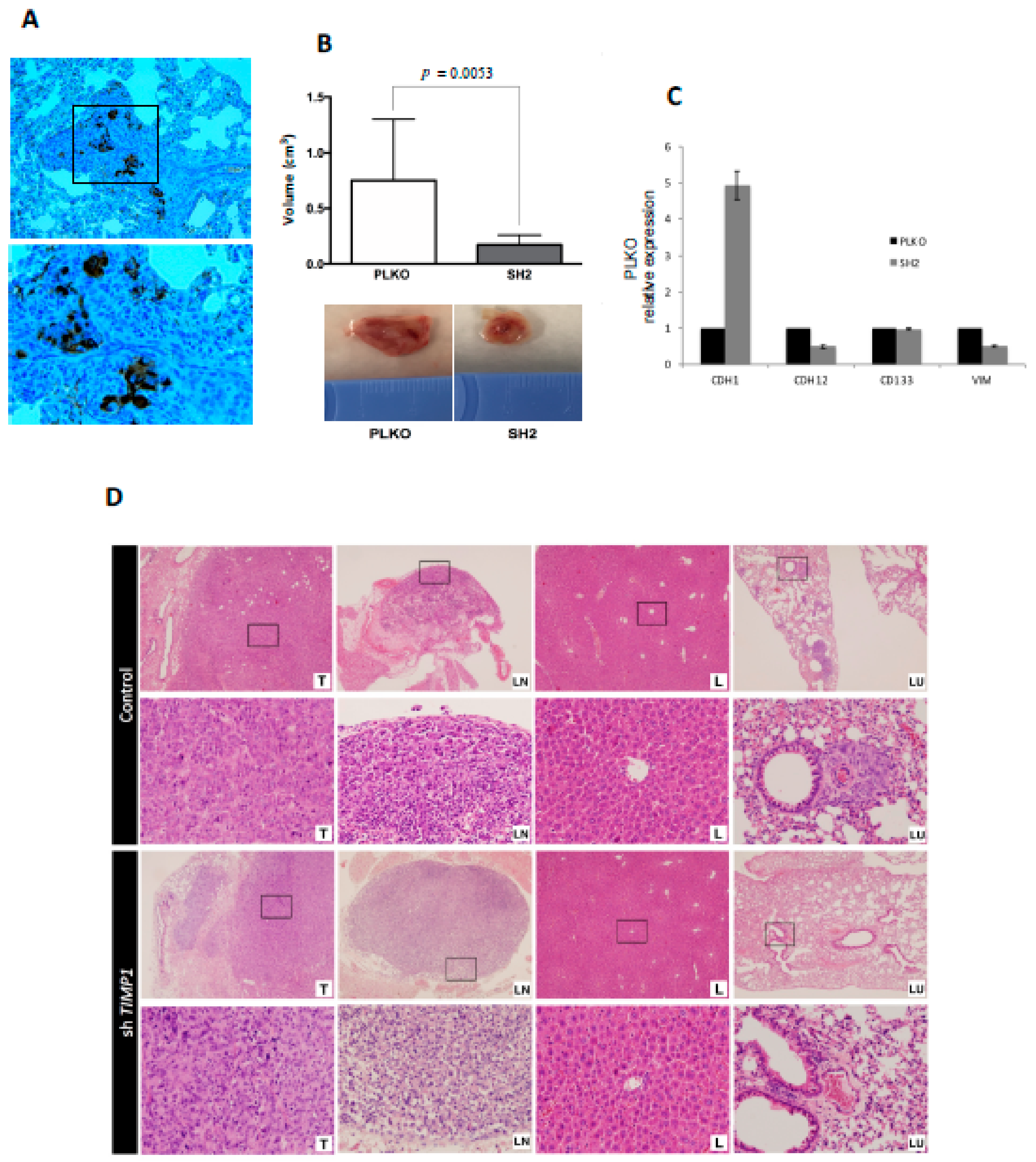 Jcm 09 00353 g005 Jcm 09 00353 g005