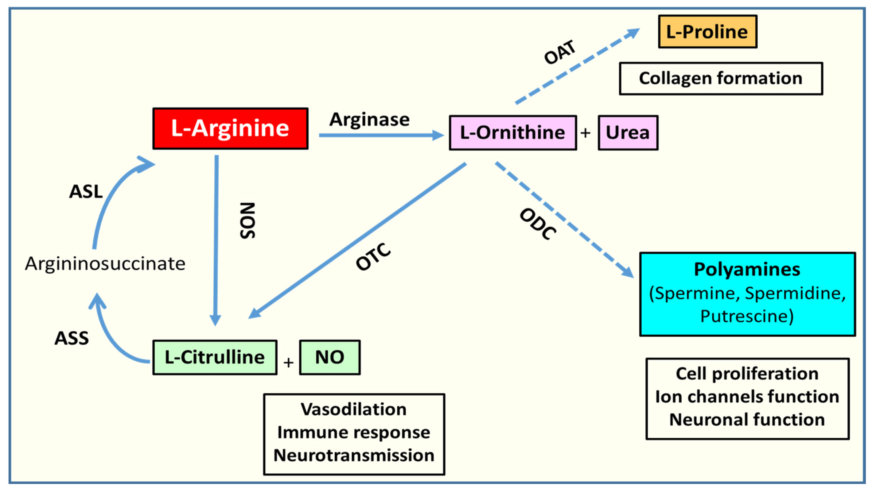 Jcm 09 00425 g001 Jcm 09 00425 g001