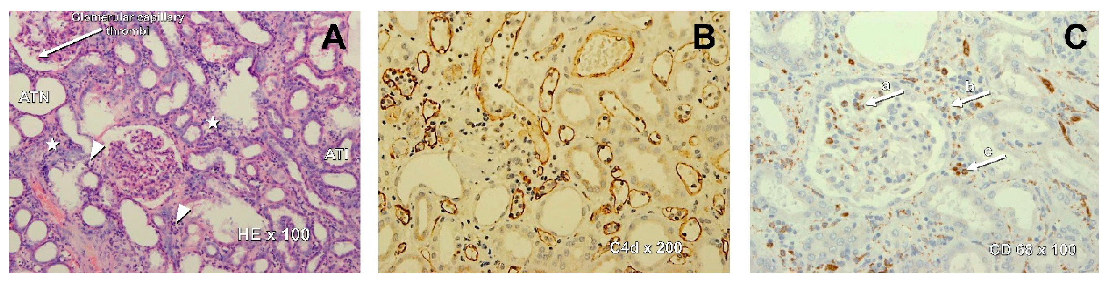 Jcm 09 00529 g001 Jcm 09 00529 g001