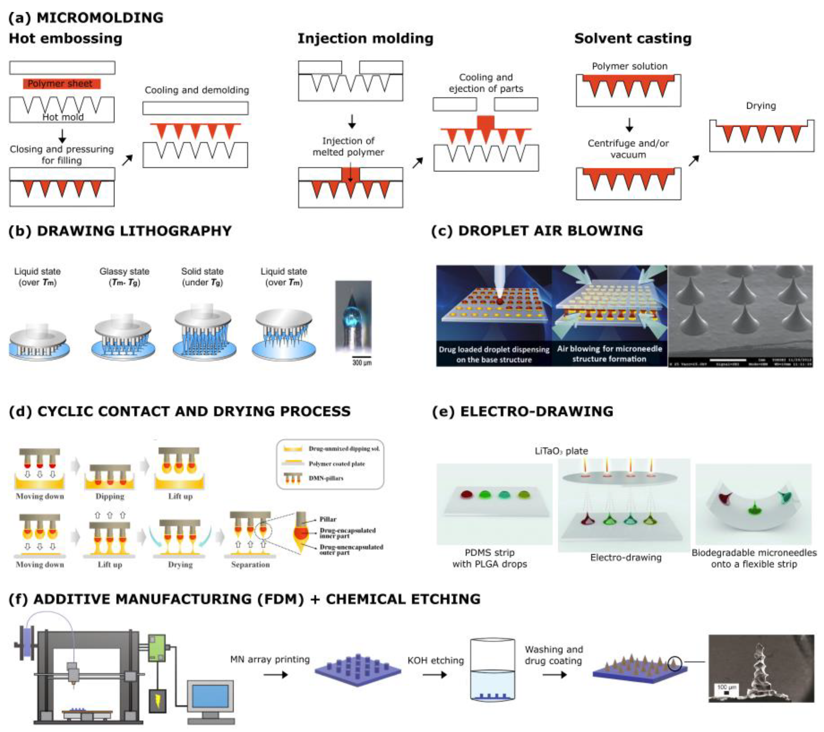 Jcm 09 00542 g001 Jcm 09 00542 g001