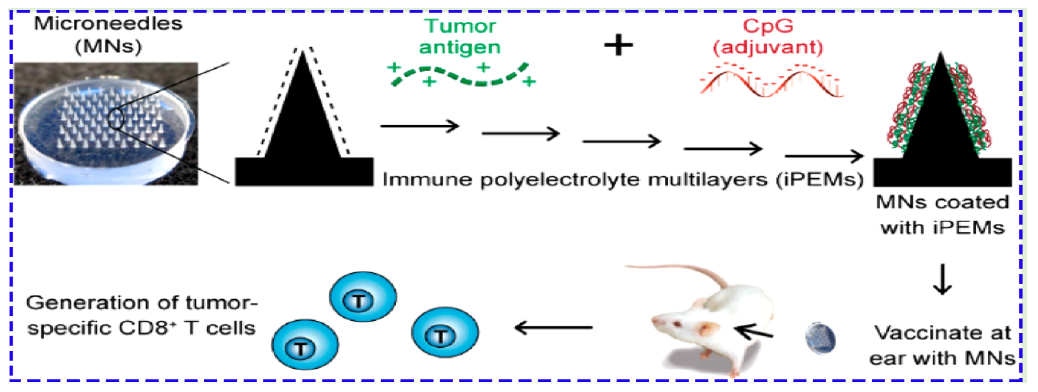 Jcm 09 00542 g003 Jcm 09 00542 g003