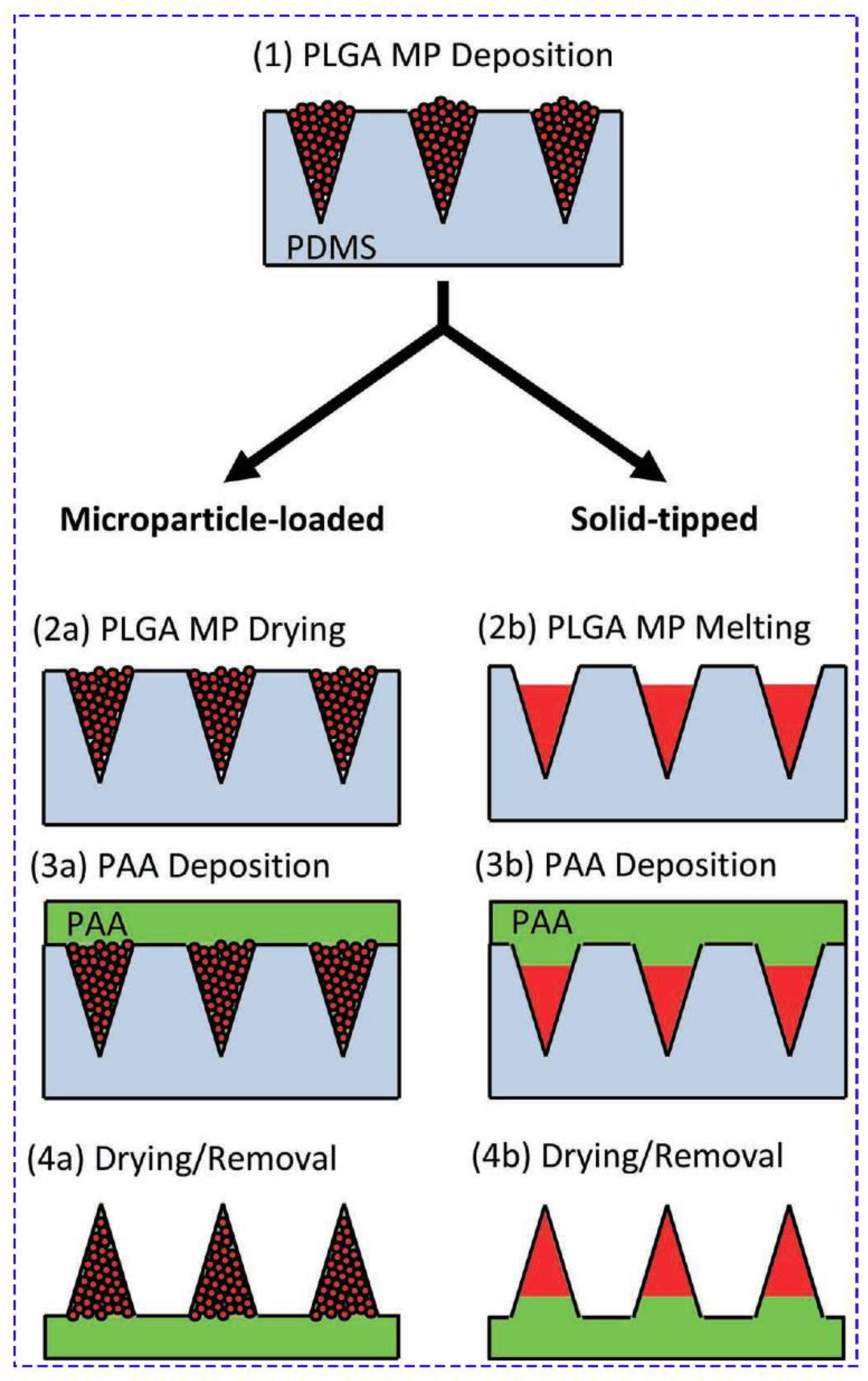 Jcm 09 00542 g005 Jcm 09 00542 g005