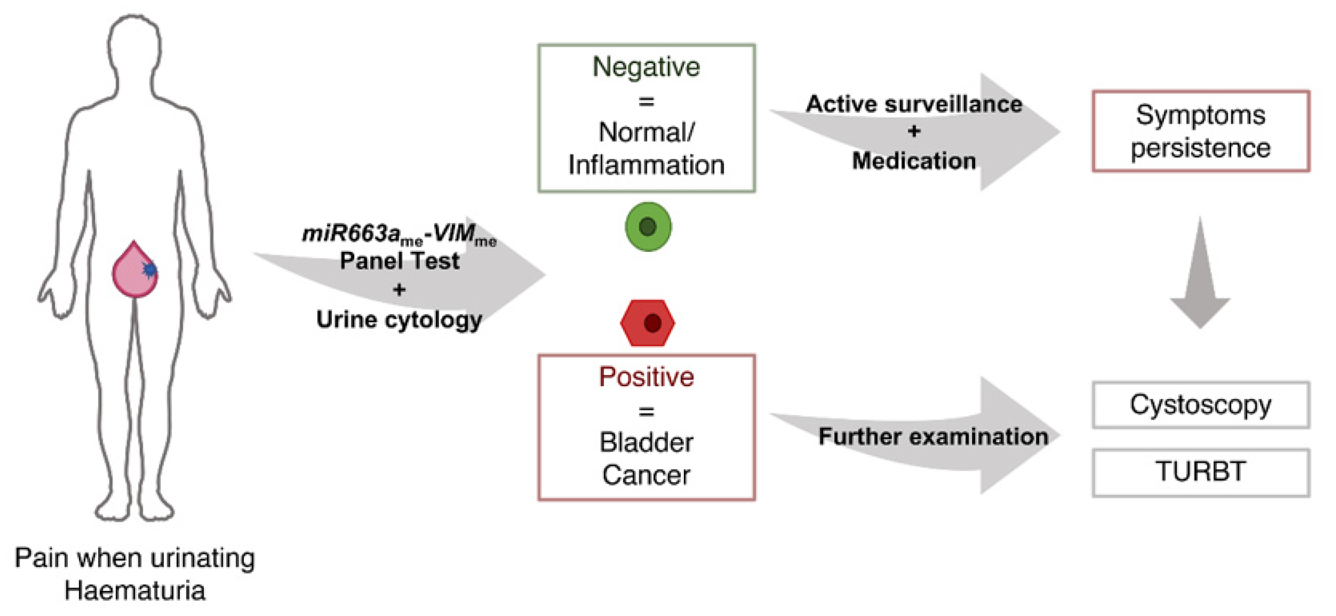 Jcm 09 00605 g005 Jcm 09 00605 g005