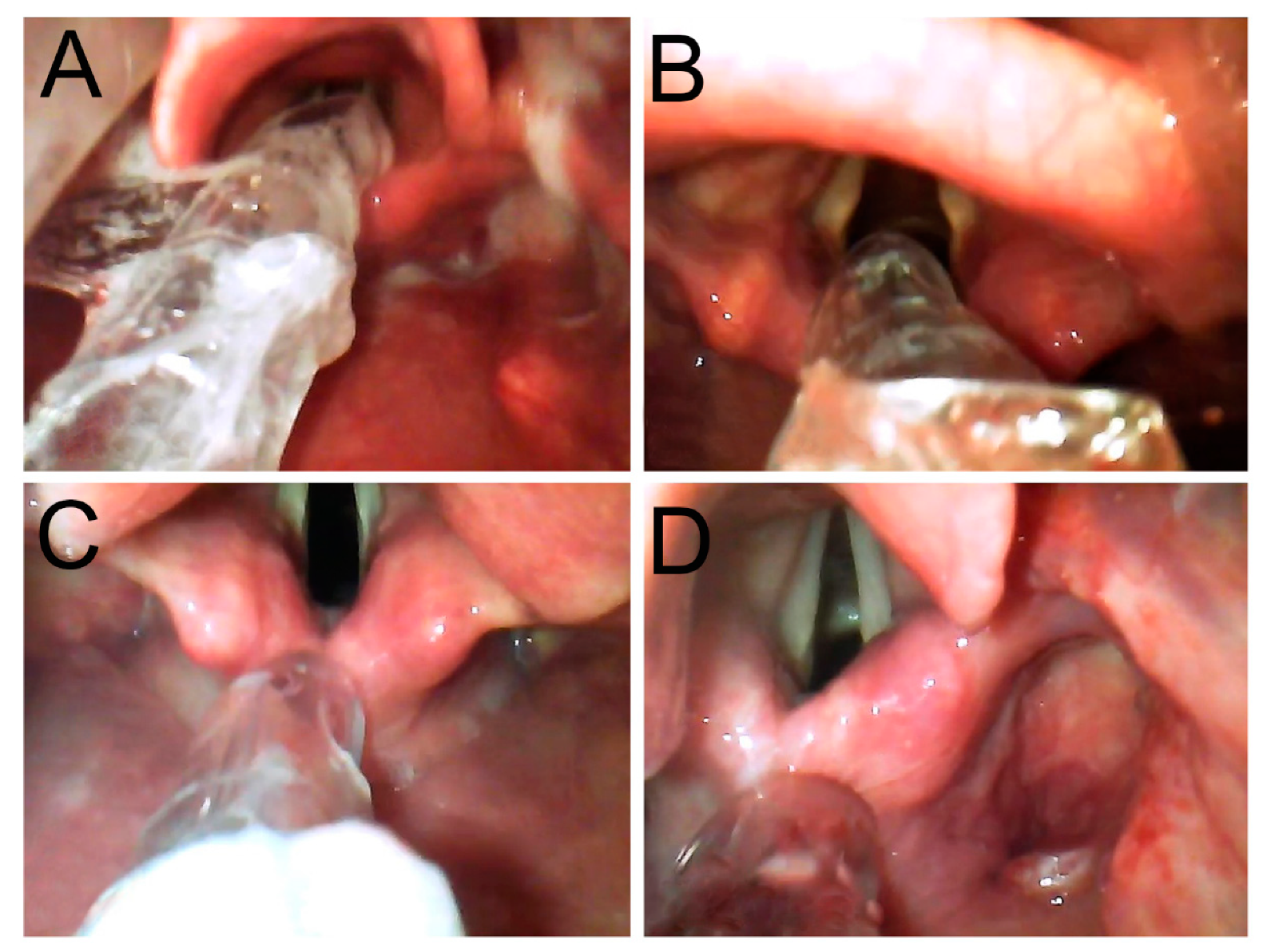 Jcm 09 00671 g002 Jcm 09 00671 g002