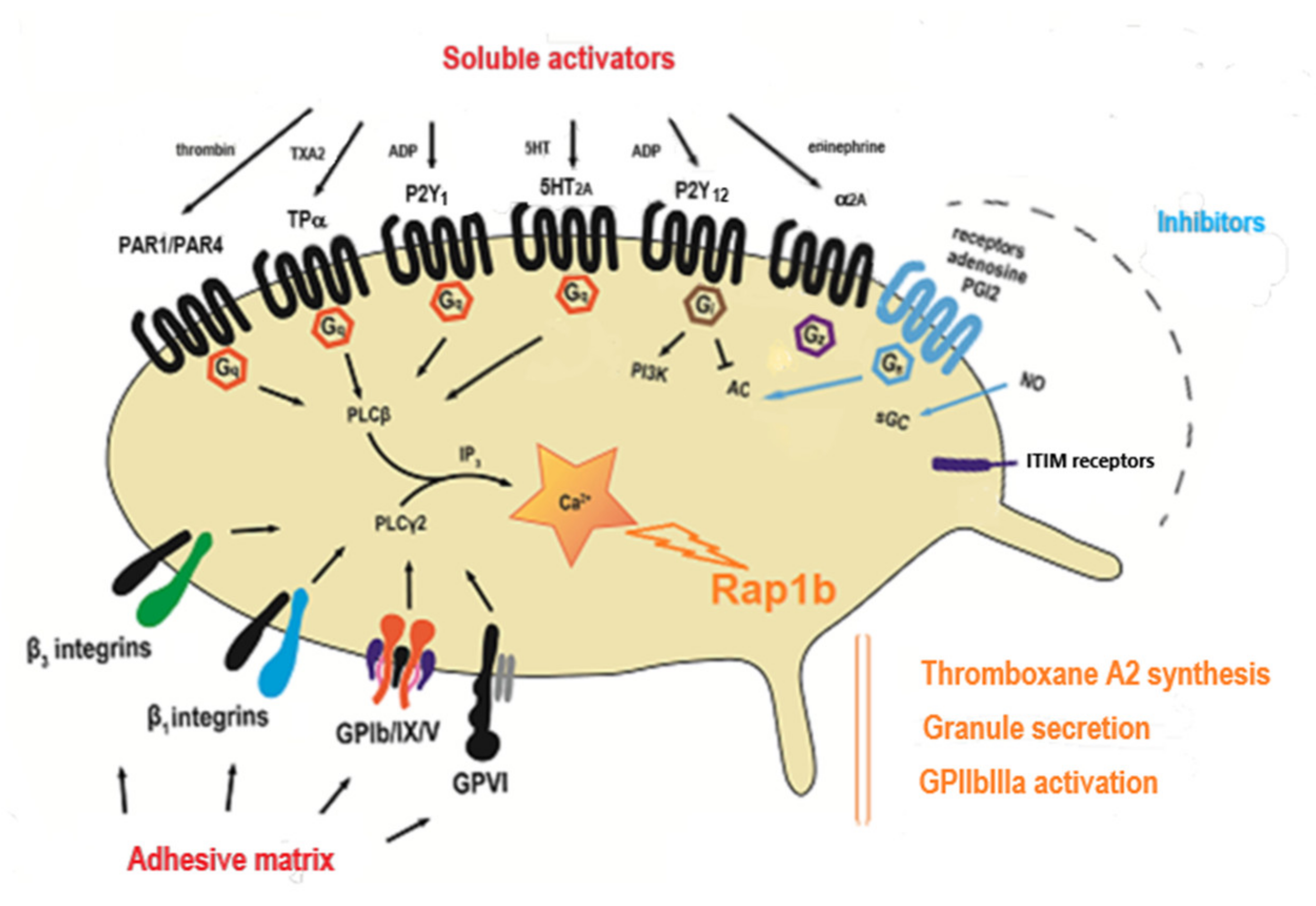 Jcm 09 00763 g001 Jcm 09 00763 g001