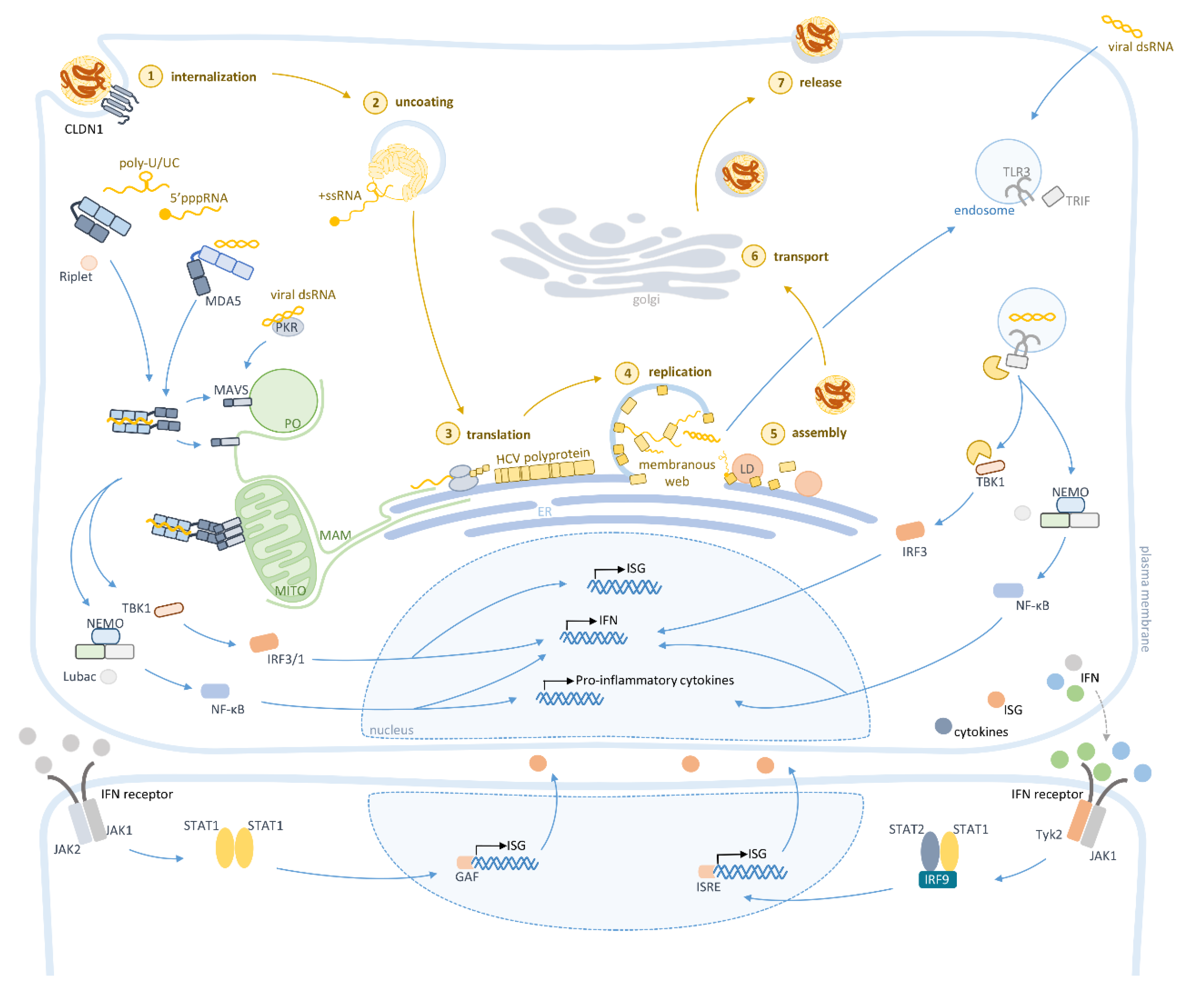Jcm 09 00790 g002 Jcm 09 00790 g002