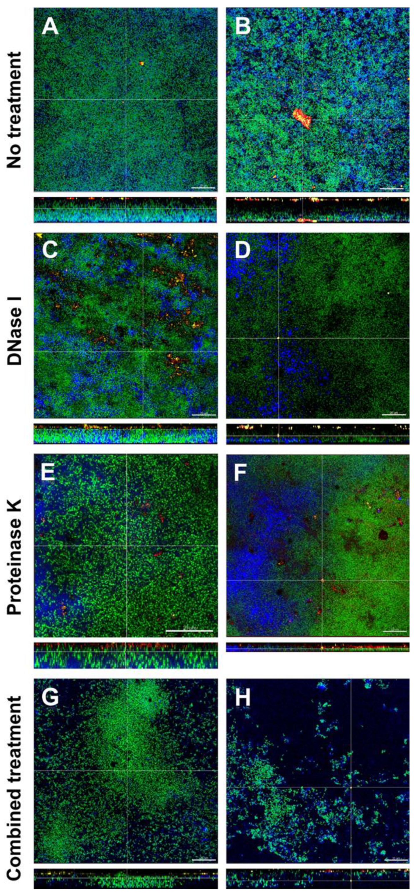 Jcm 09 00983 g003 Jcm 09 00983 g003