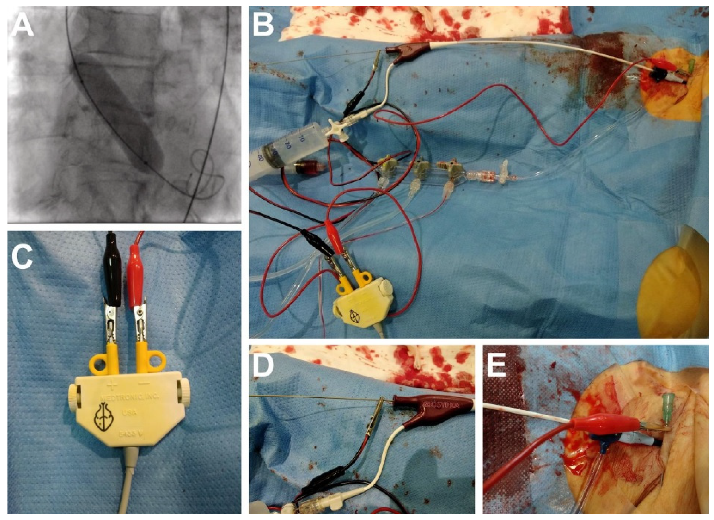 Jcm 09 01017 g001 Jcm 09 01017 g001