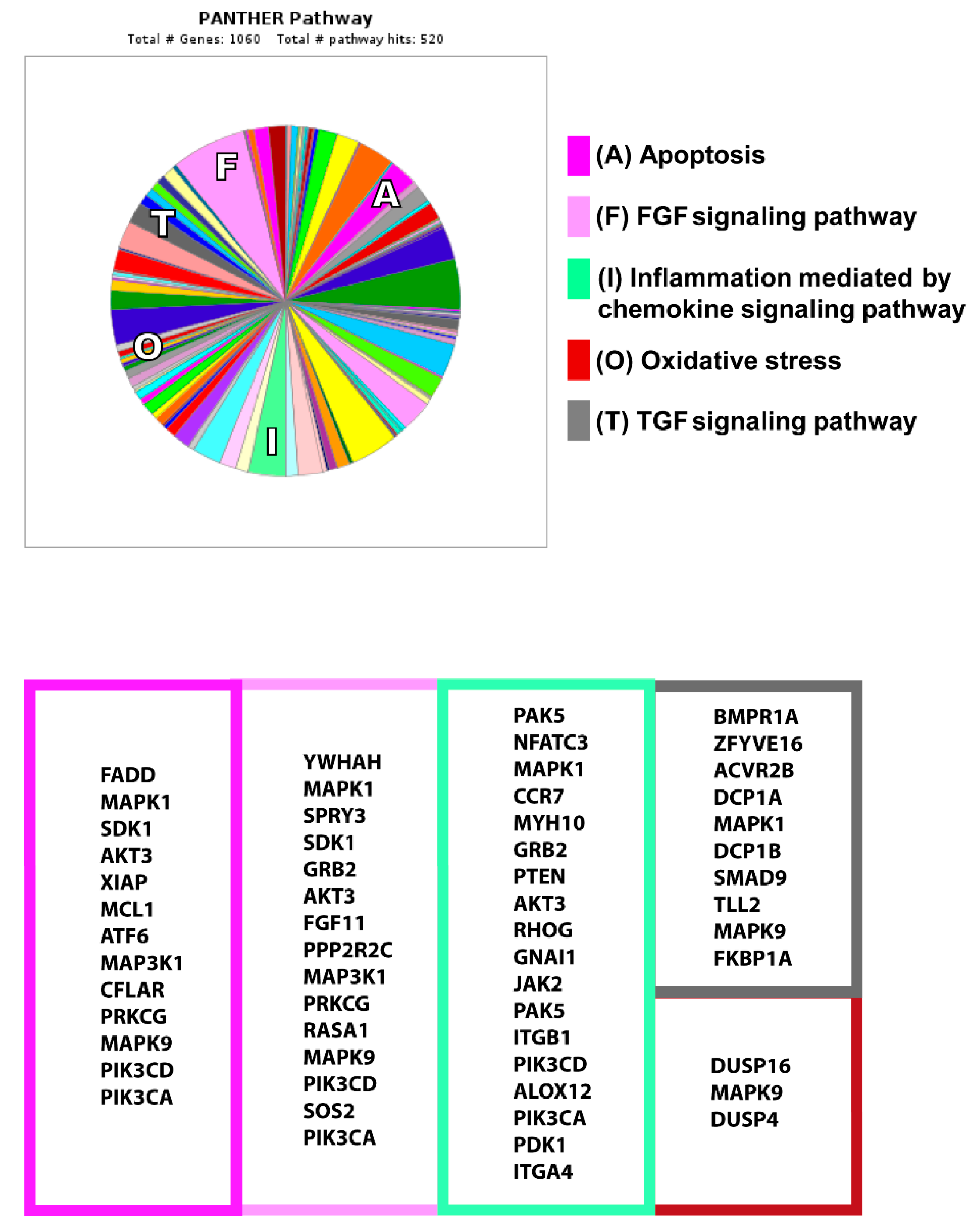 Jcm 09 01051 g009 Jcm 09 01051 g009