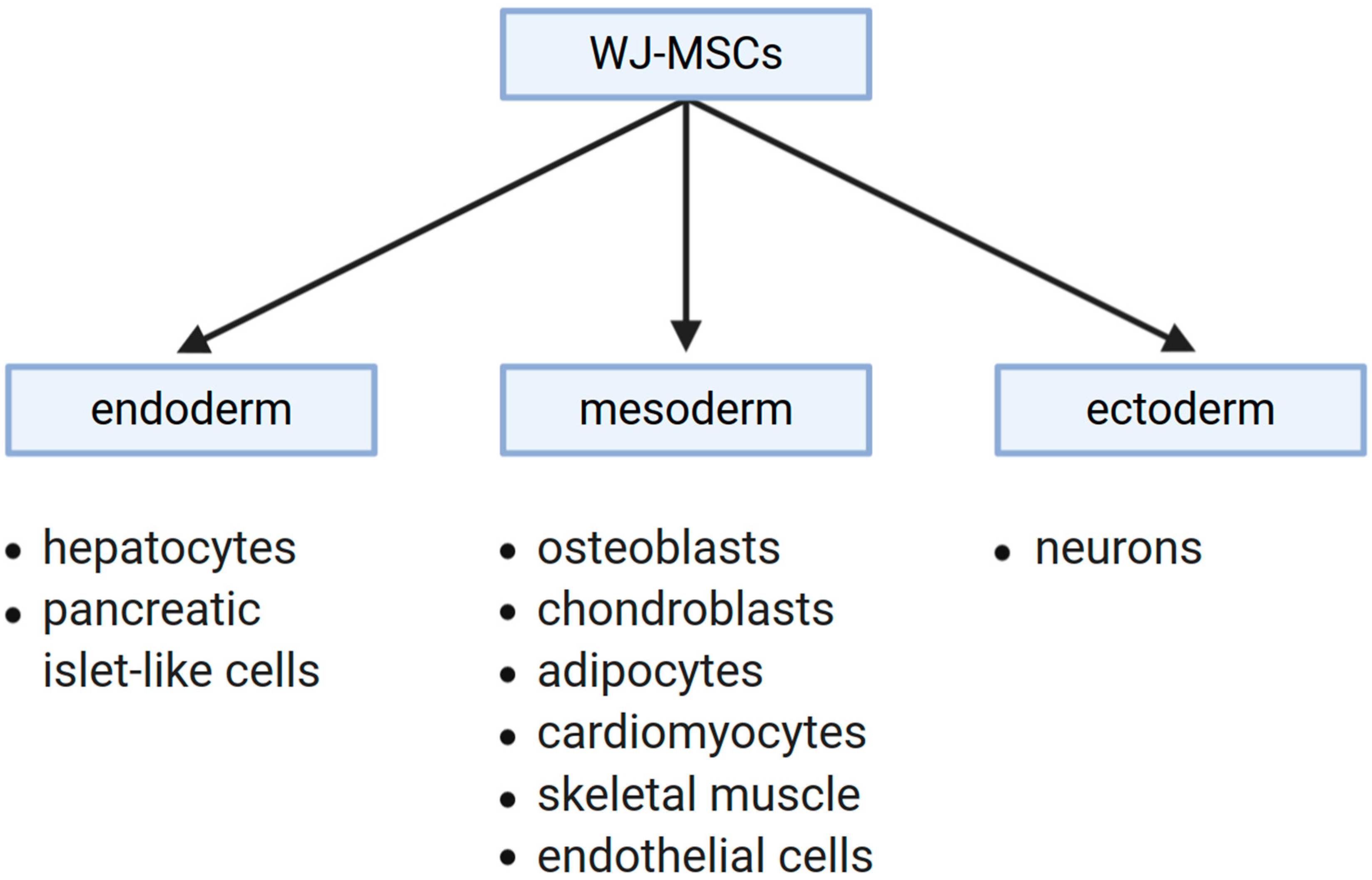 Jcm 09 01102 g003 Jcm 09 01102 g003