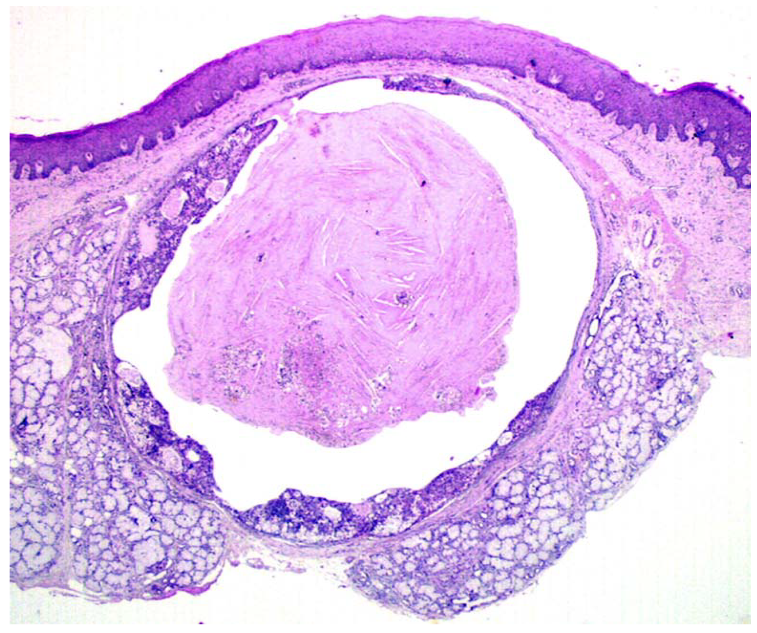 Jcm 09 01157 g002