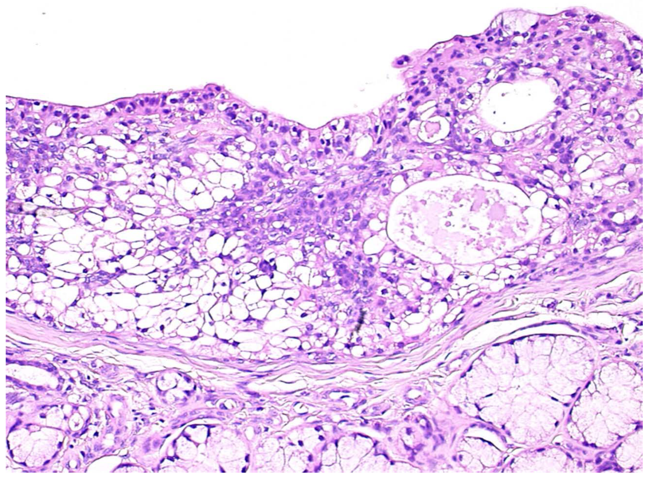 Jcm 09 01157 g003