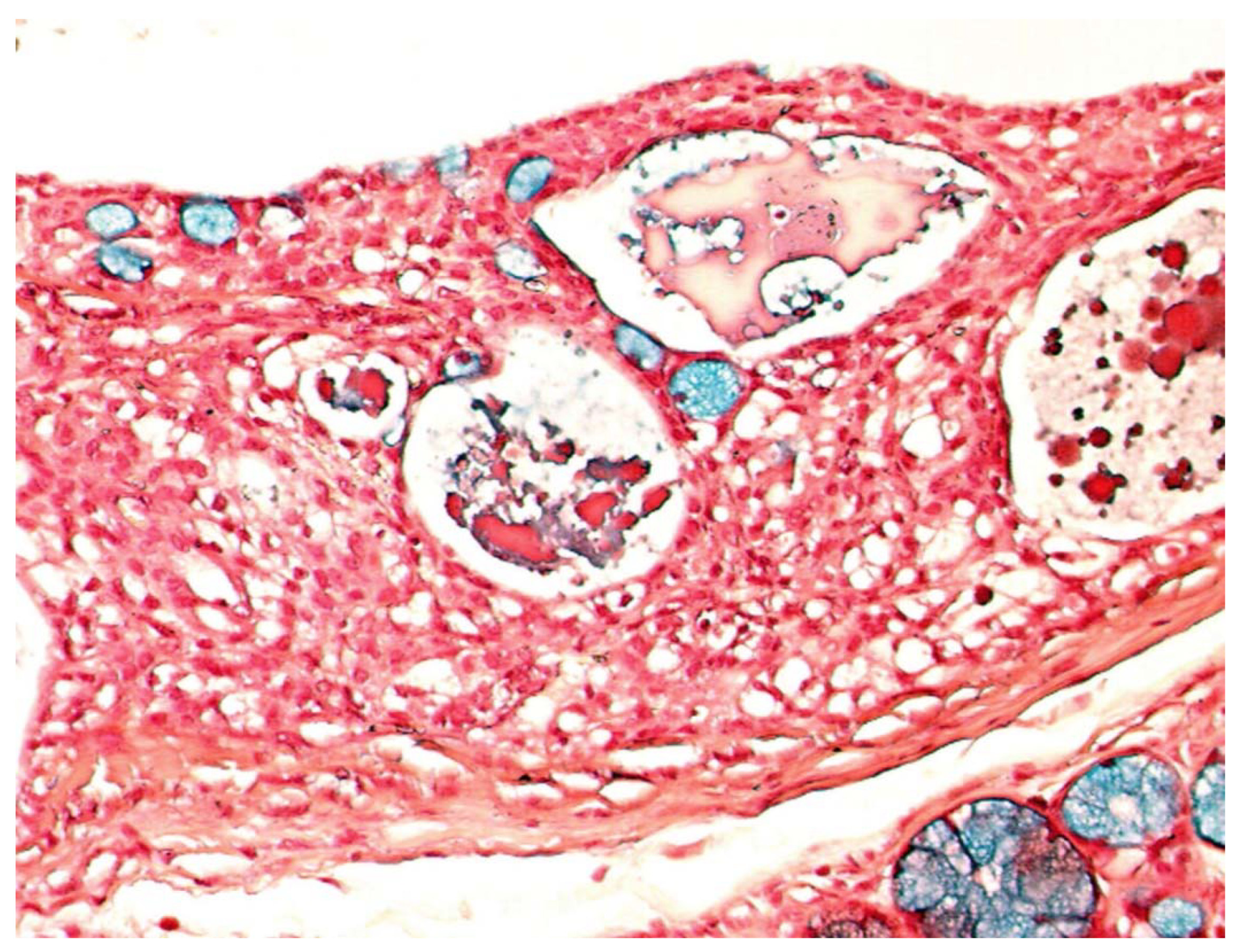 Jcm 09 01157 g004