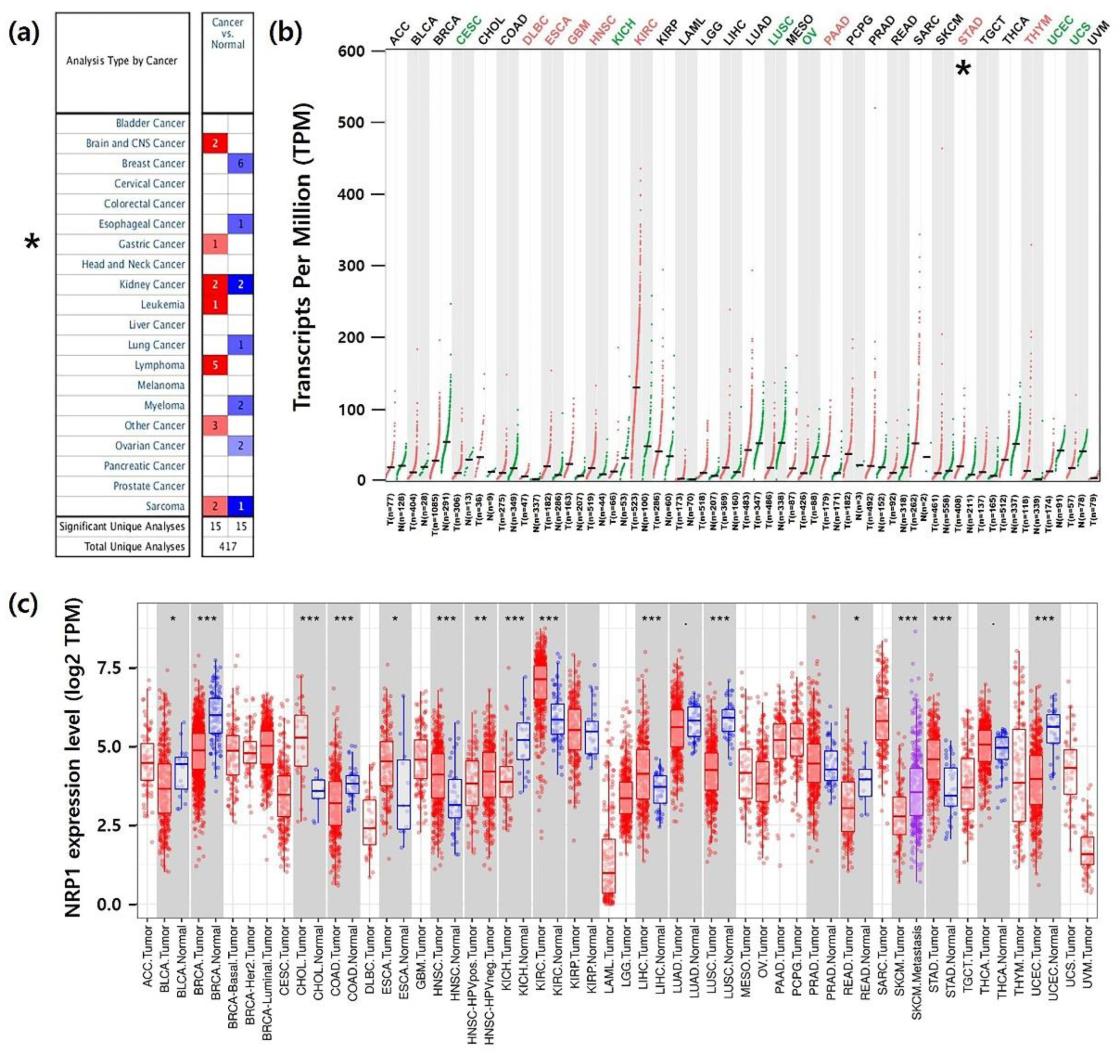 Jcm 09 01430 g001 Jcm 09 01430 g001