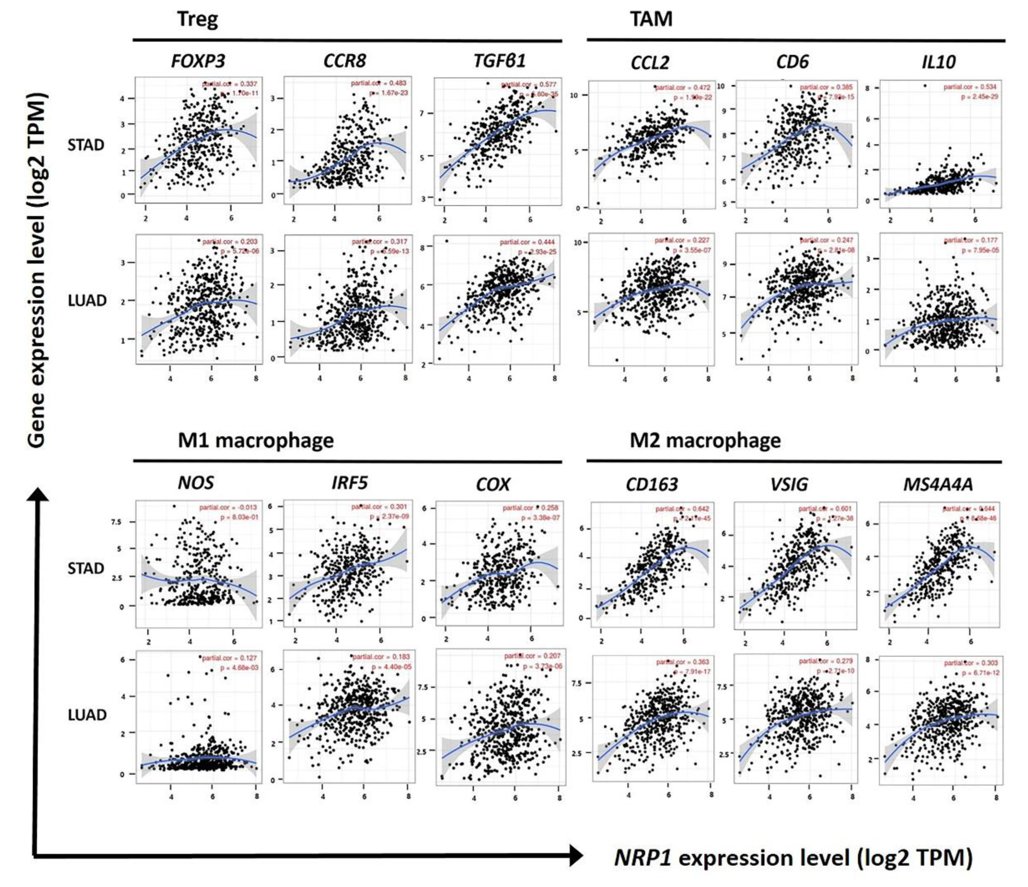 Jcm 09 01430 g005 Jcm 09 01430 g005