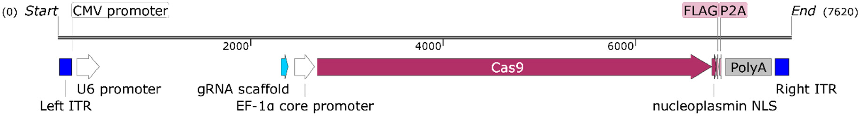 Jcm 09 01498 g001 Jcm 09 01498 g001