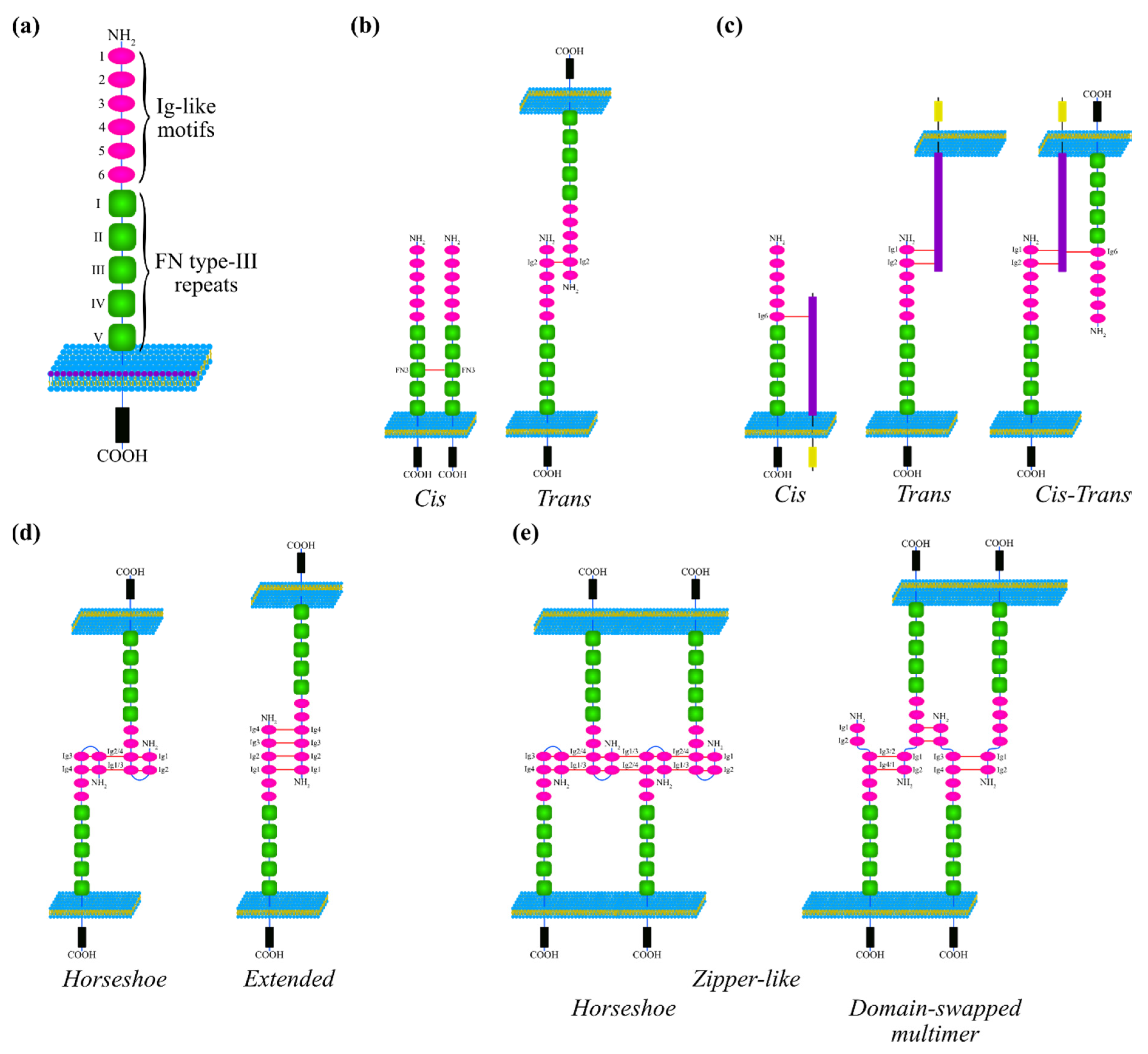 Jcm 09 01502 g001 Jcm 09 01502 g001