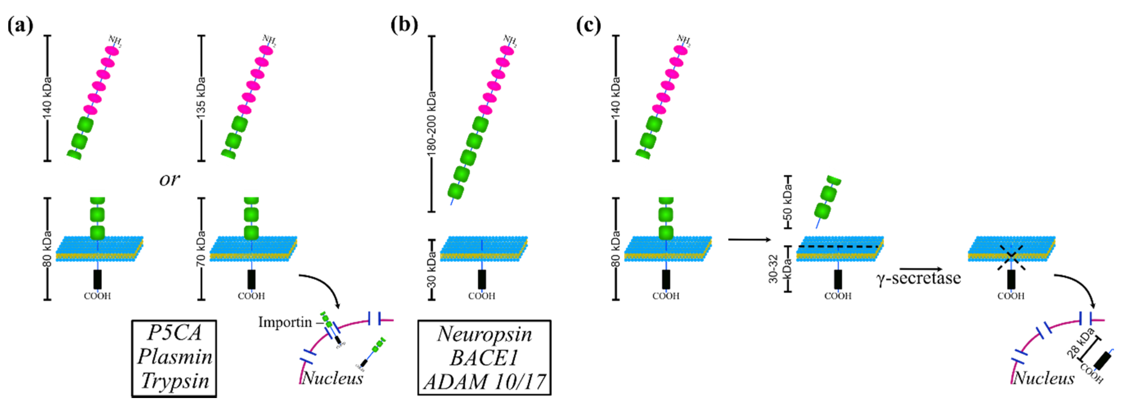 Jcm 09 01502 g002 Jcm 09 01502 g002