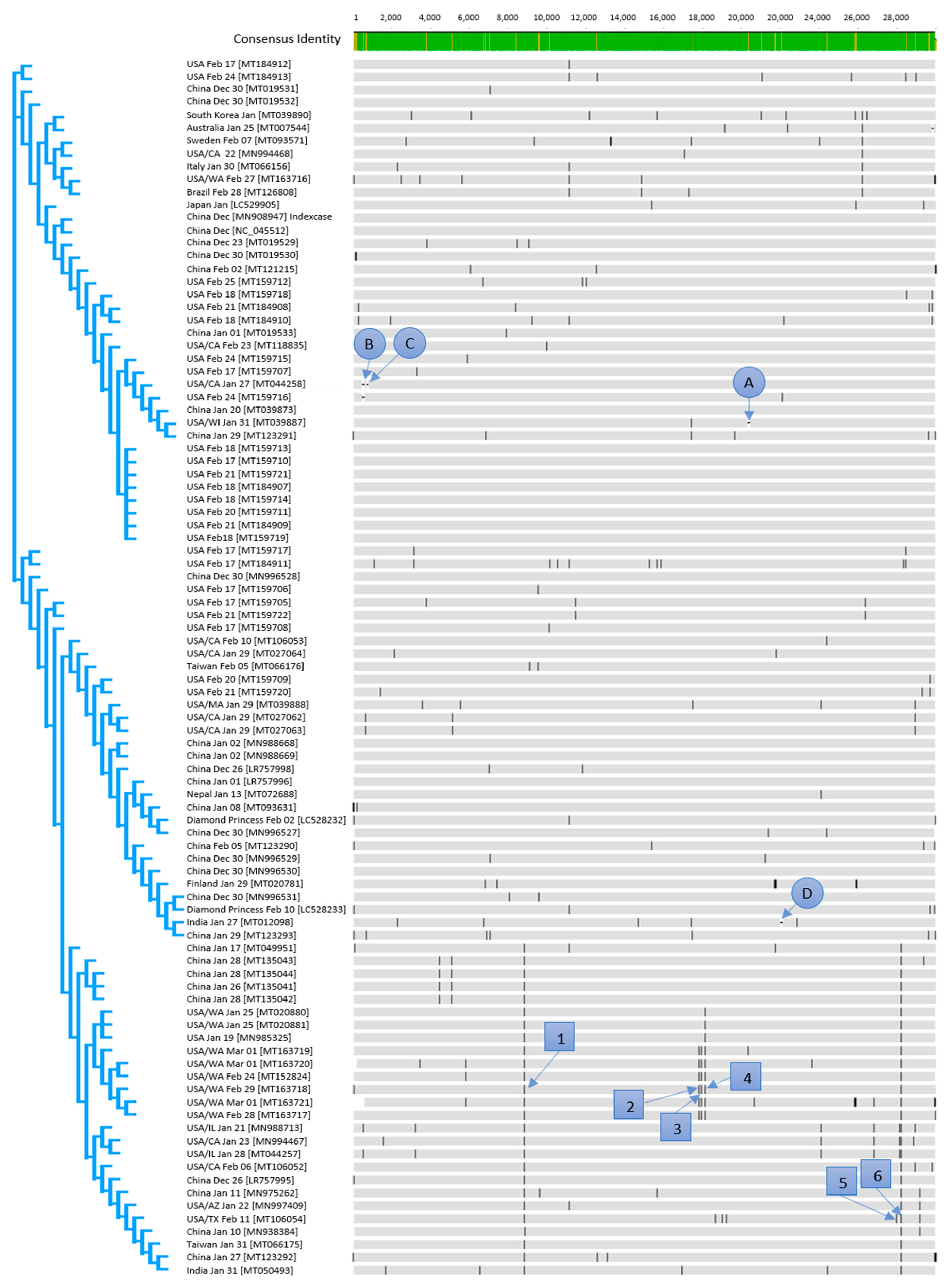 Jcm 09 01615 g001 Jcm 09 01615 g001