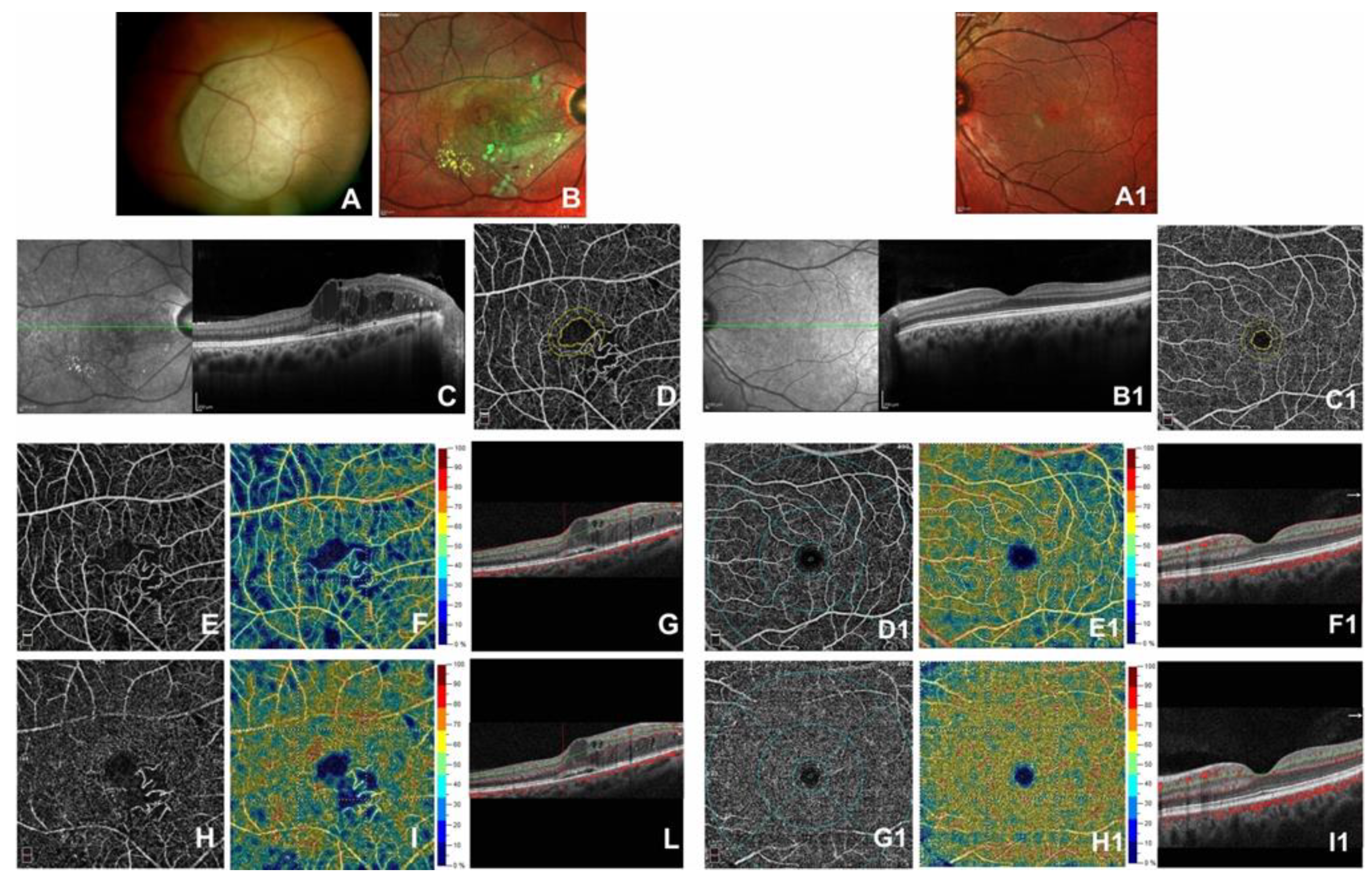 Jcm 09 01618 g001 Jcm 09 01618 g001