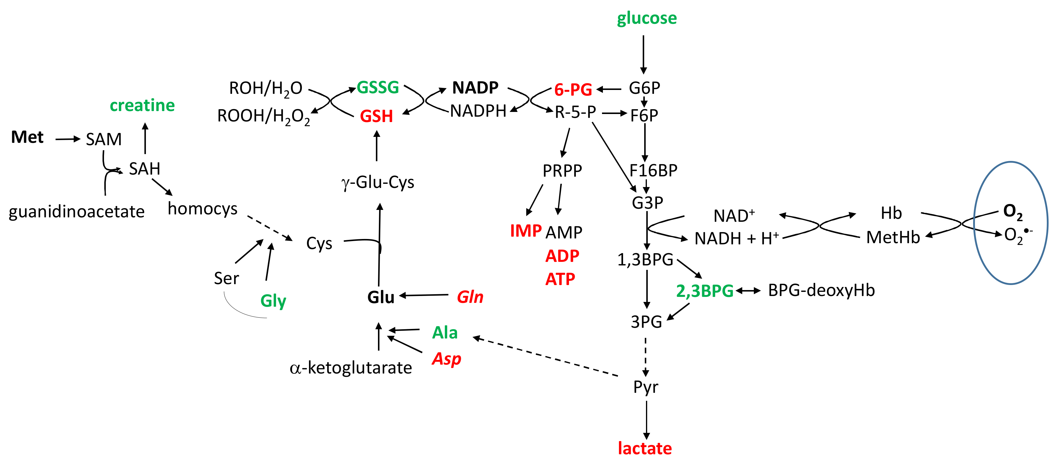 Jcm 09 01619 sch001 Jcm 09 01619 sch001