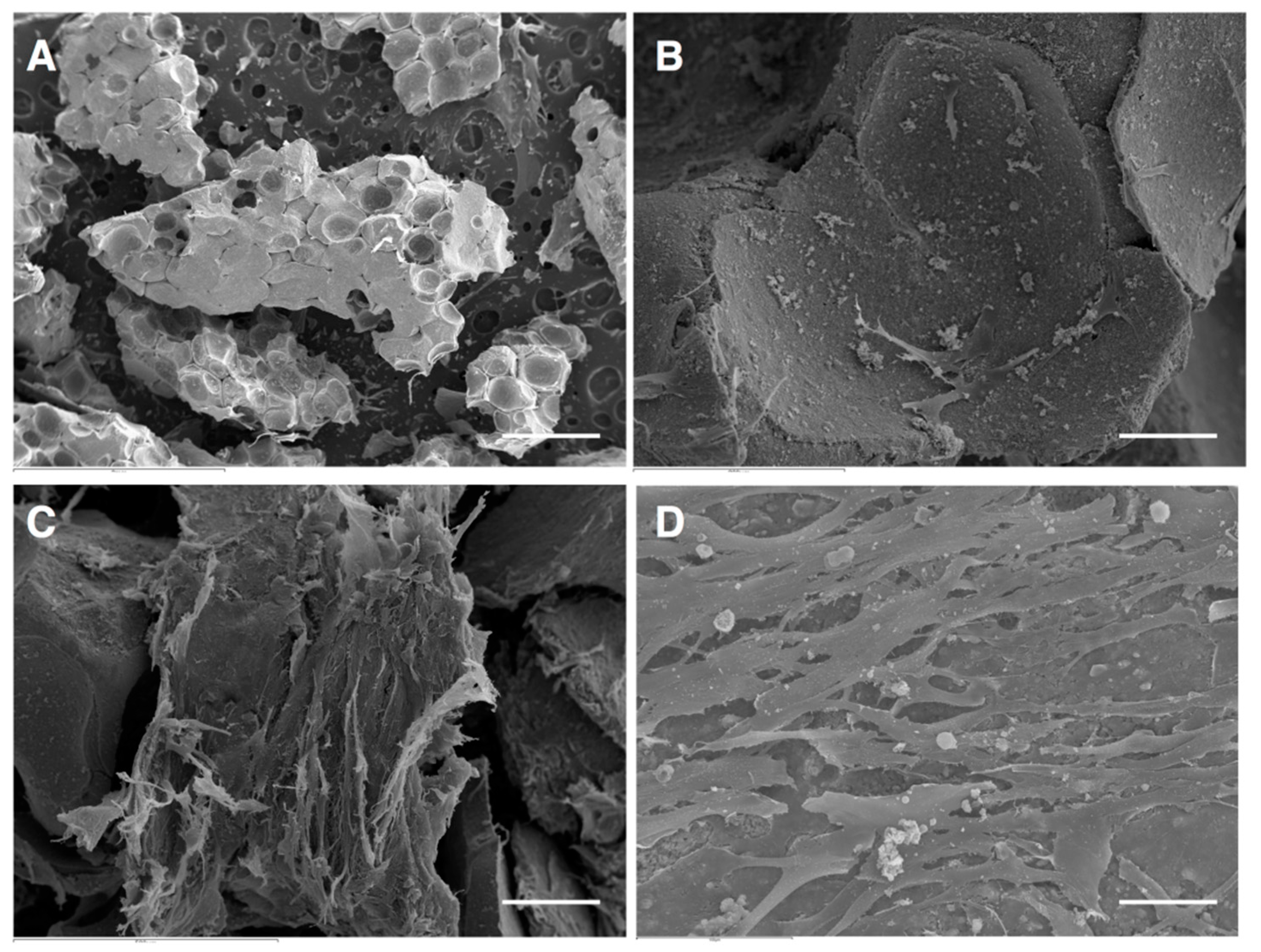 Jcm 09 01649 g002 Jcm 09 01649 g002