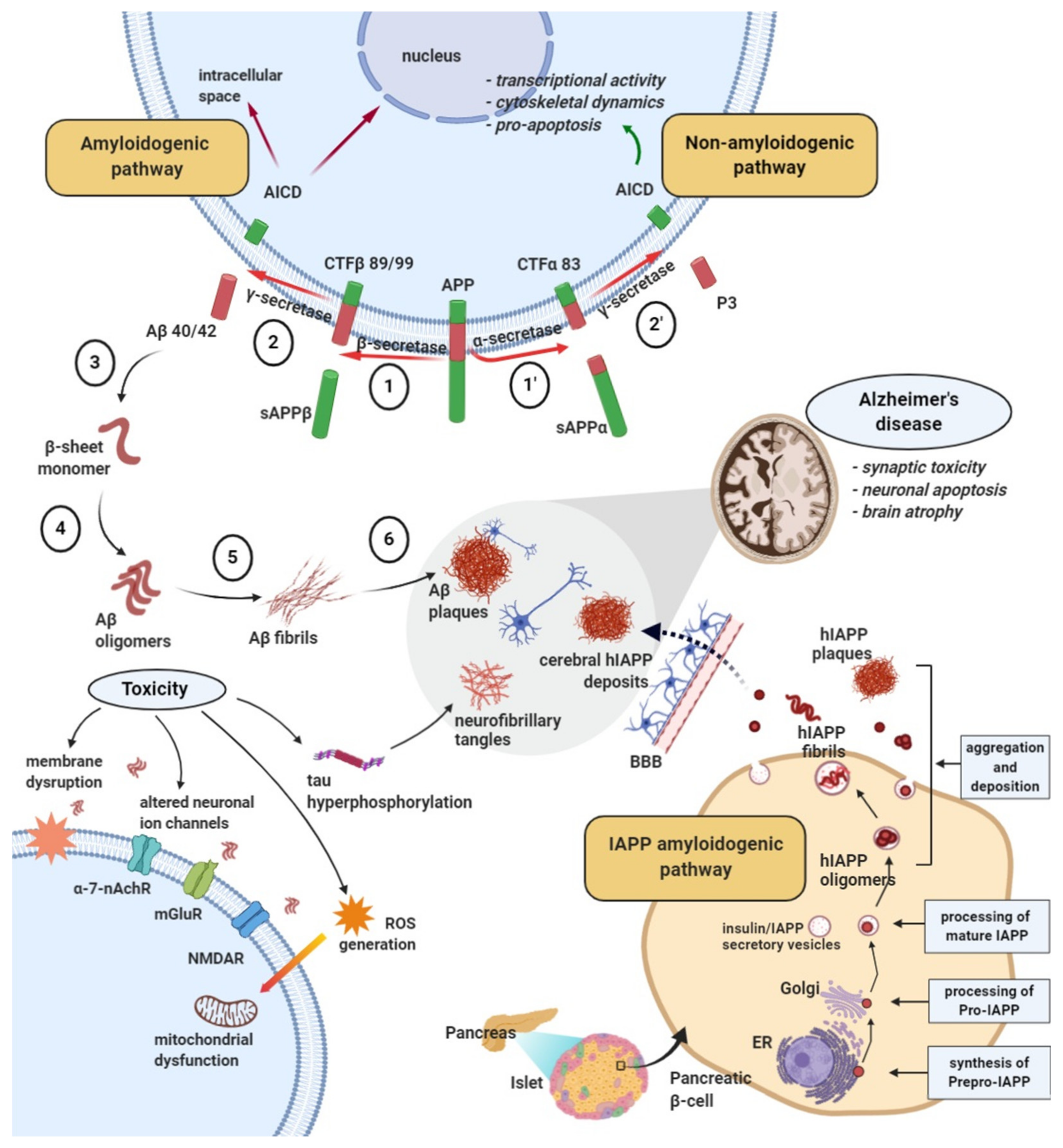 Jcm 09 01713 g003 Jcm 09 01713 g003