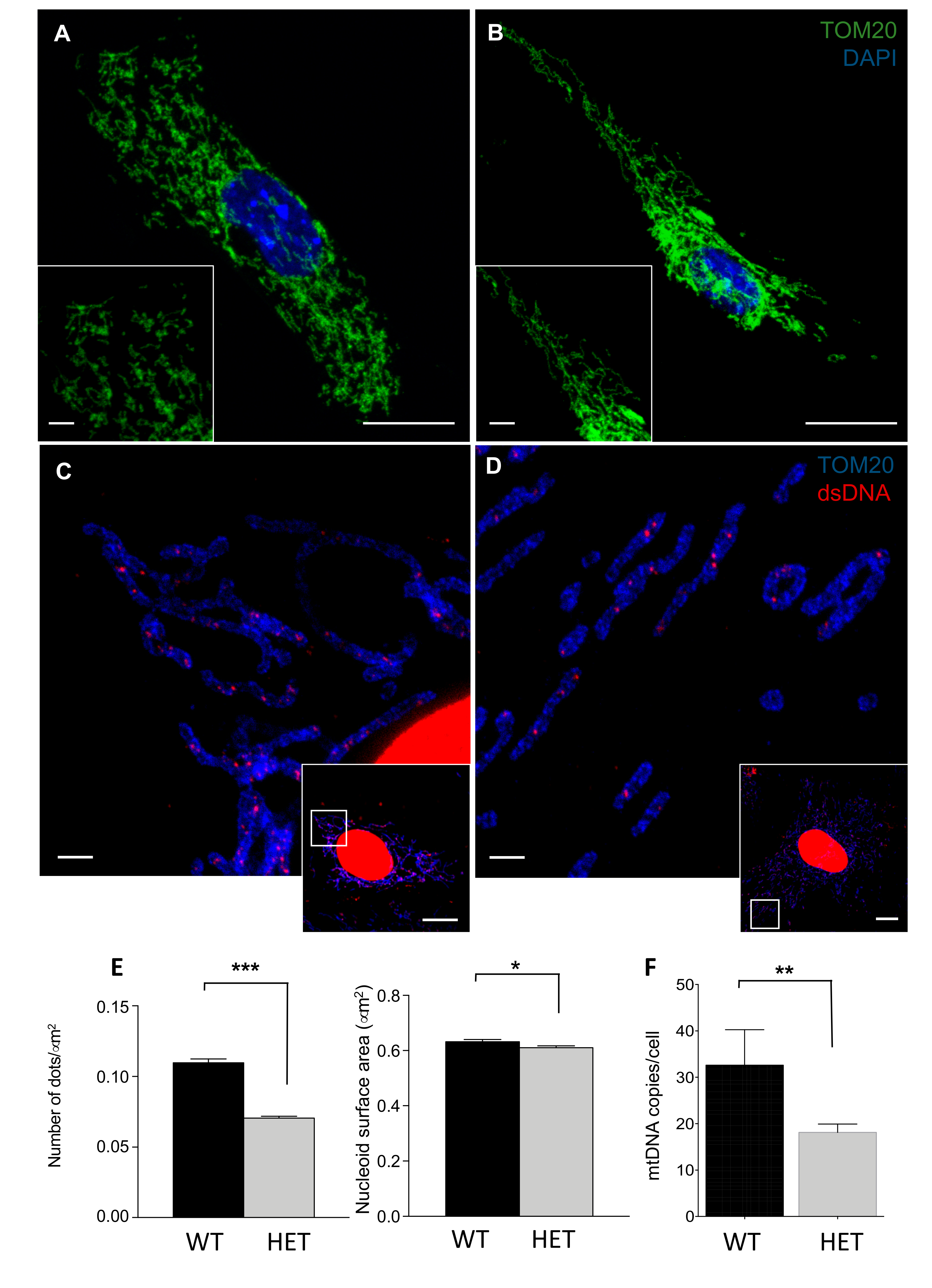 Jcm 09 01783 g004 Jcm 09 01783 g004