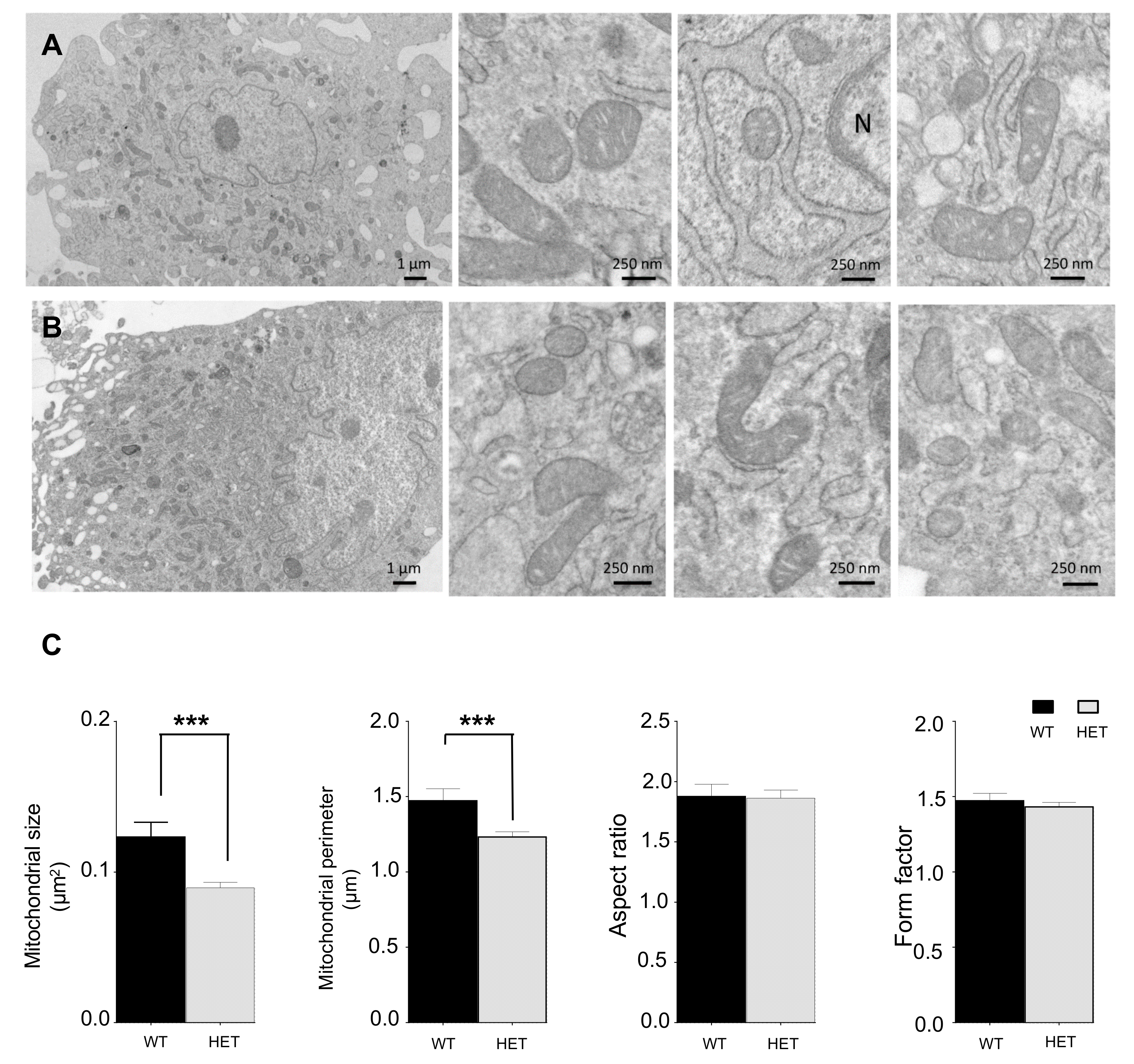 Jcm 09 01783 g005 Jcm 09 01783 g005